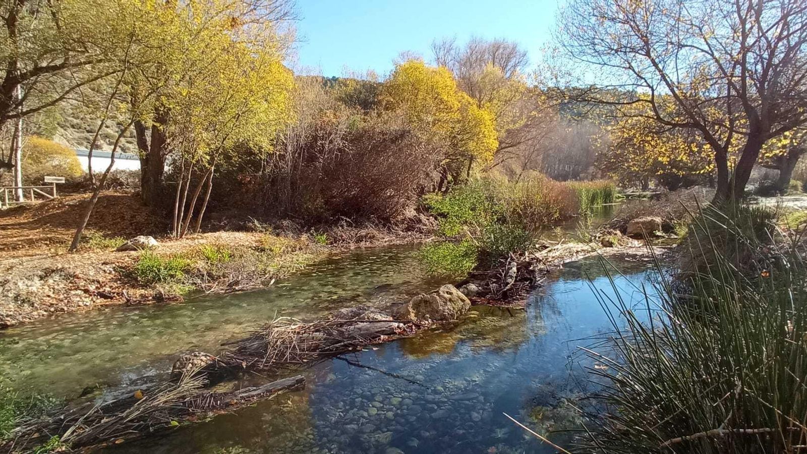 Las imágenes de la ruta del Bosque Encantado de Higueras