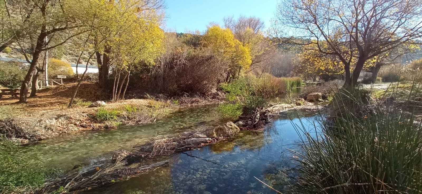 Las imágenes de la ruta del Bosque Encantado de Higueras