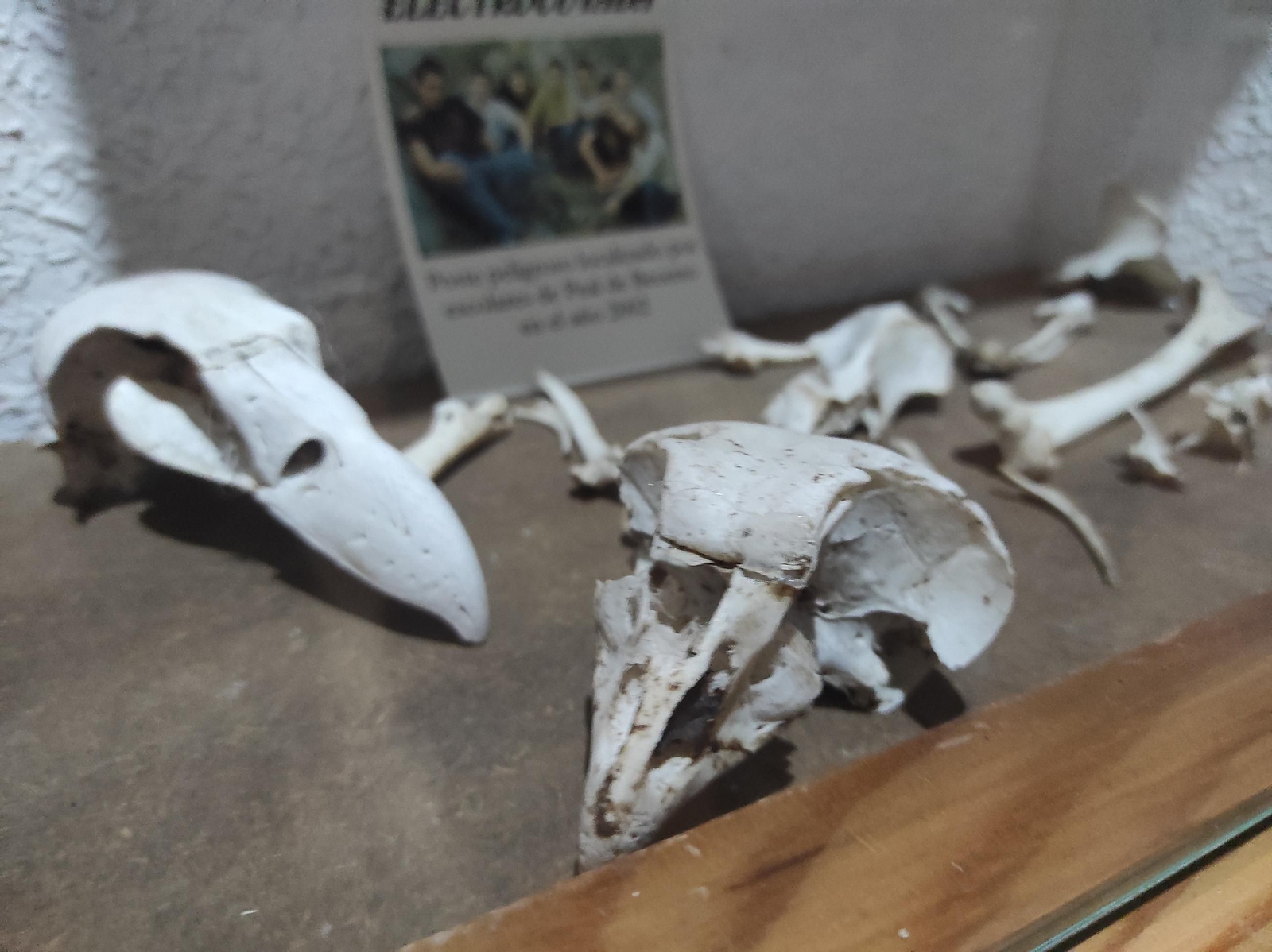 'Frondosa Naturaleza': el lugar perfecto para conocer la fauna y flora de Cazorla a dos pasos del centro