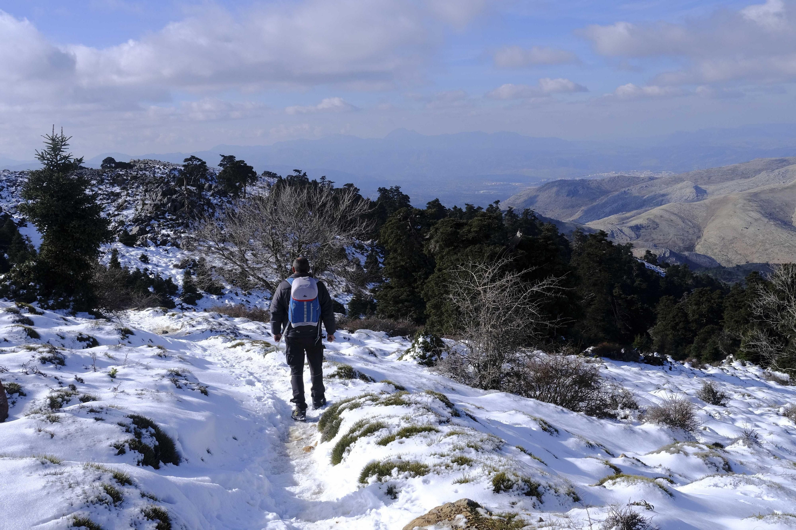 El blanco viste el Parque Nacional de la Sierra de las Nieves. El blanco viste el Parque Nacional de la Sierra de las Nieves.