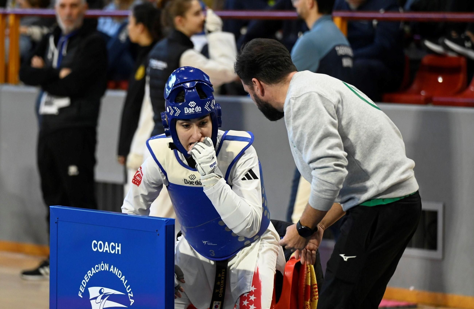 Las mejores fotos del Open Internacional de Andalucía de taekwondo en Córdoba