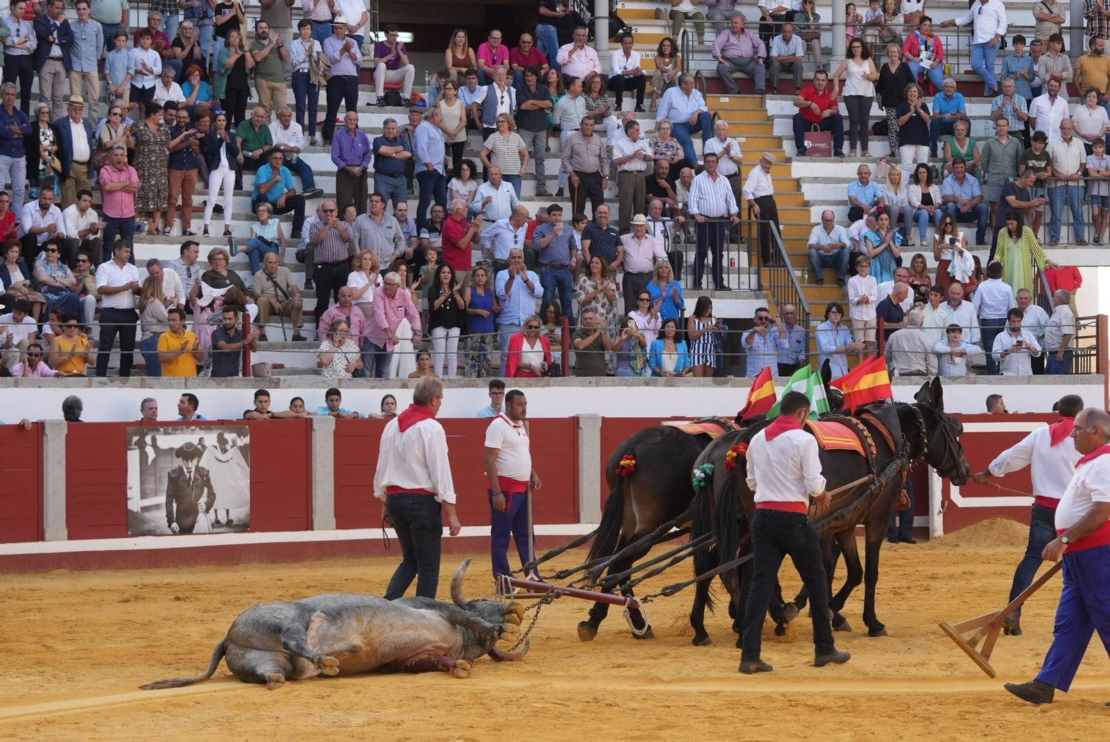 La corrida de toros de Ferrera, Escribano y Lamelas en Pozoblanco, en imágenes