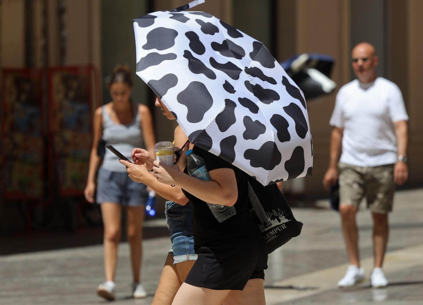 Vuelven a subir las temperaturas en Málaga este miércoles