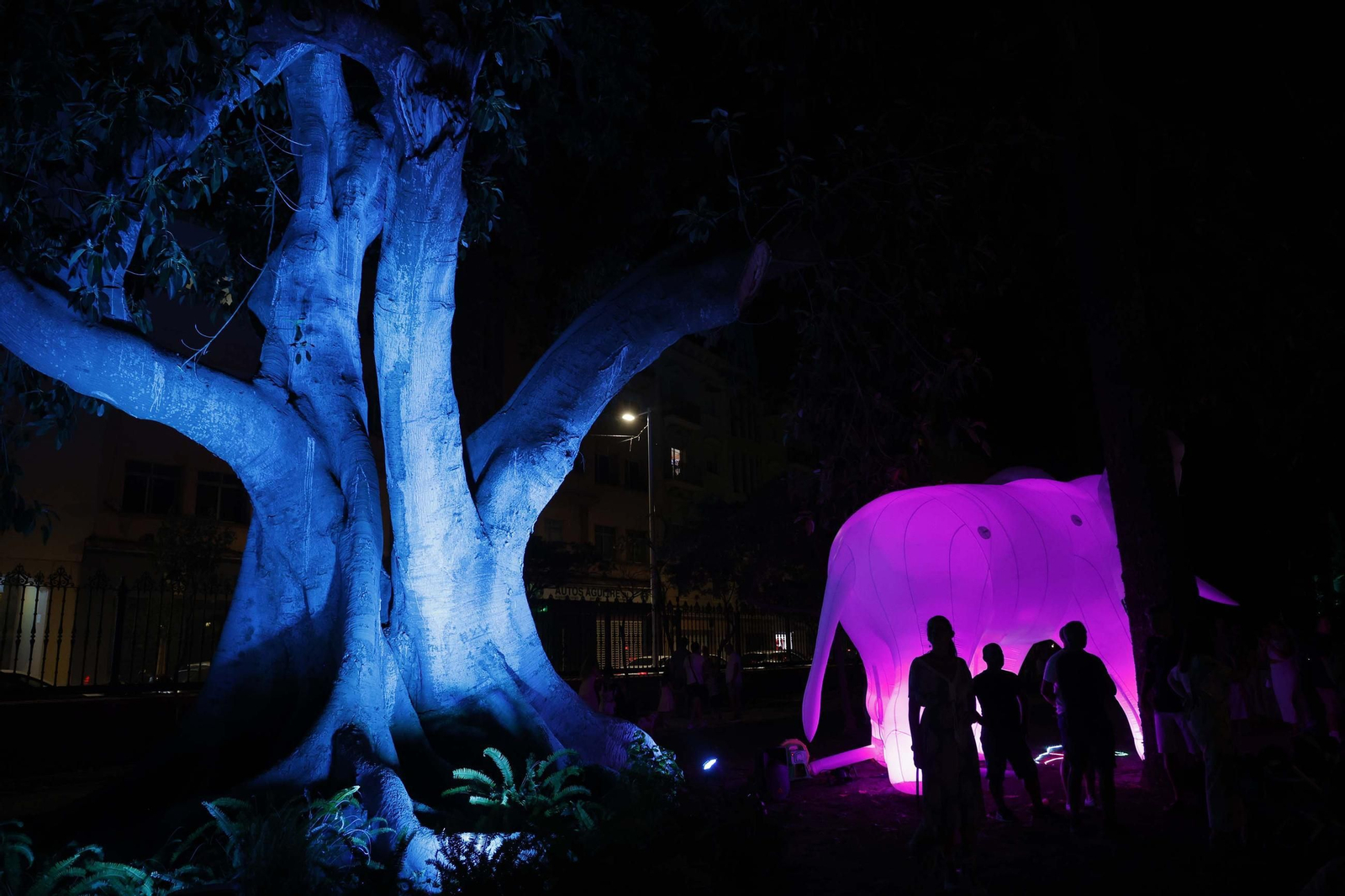 Fotos del concierto La Línea Noche de Jazz de la Noche en Blanco