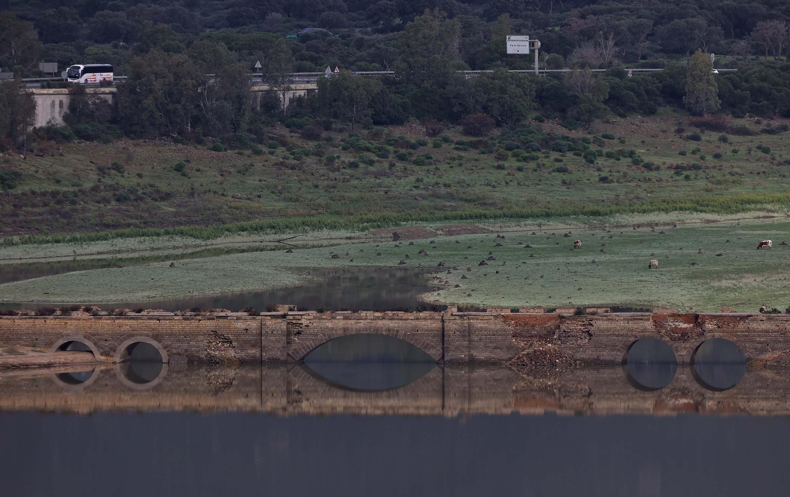 Fotos del pantano de Charco Redondo en Los Barrios