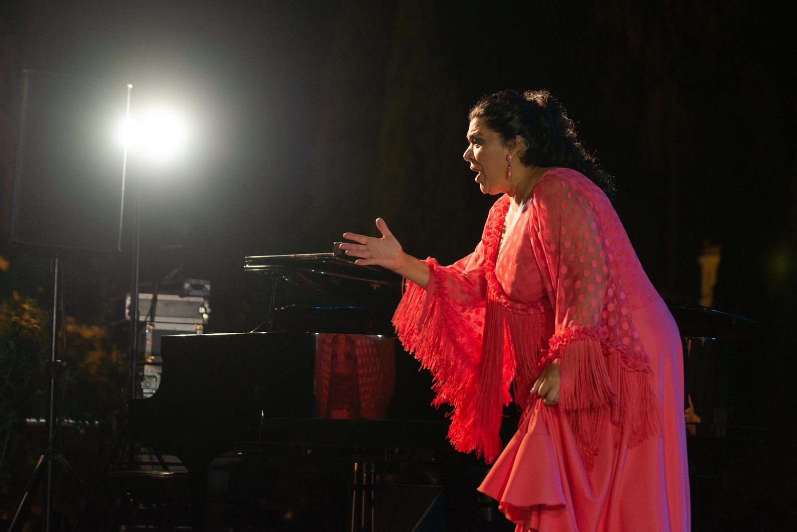 La Macanita, 30 años de artista