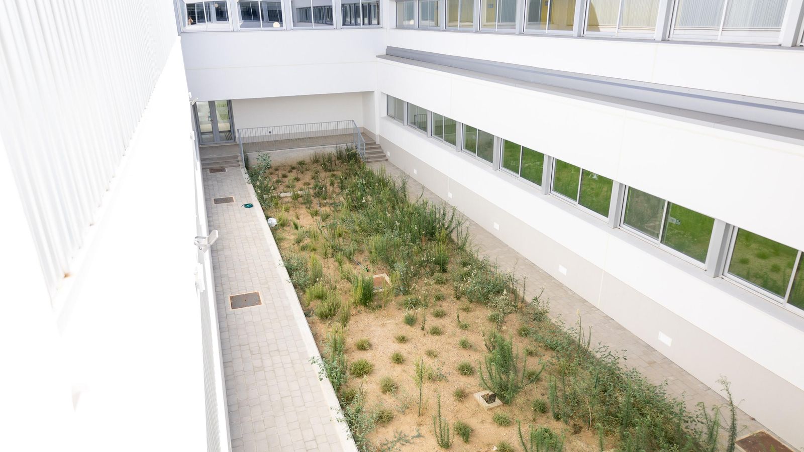 Zona donde se pretende ubicar un aula exterior.