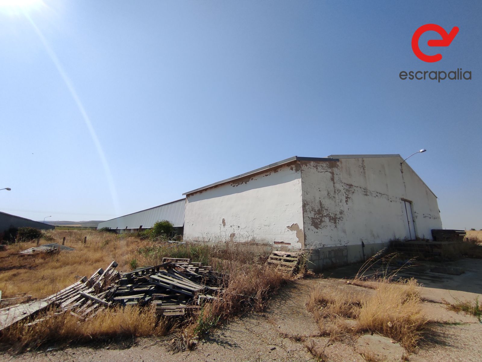 La granja de 43.000 metros cuadrados a subasta por 1 euro