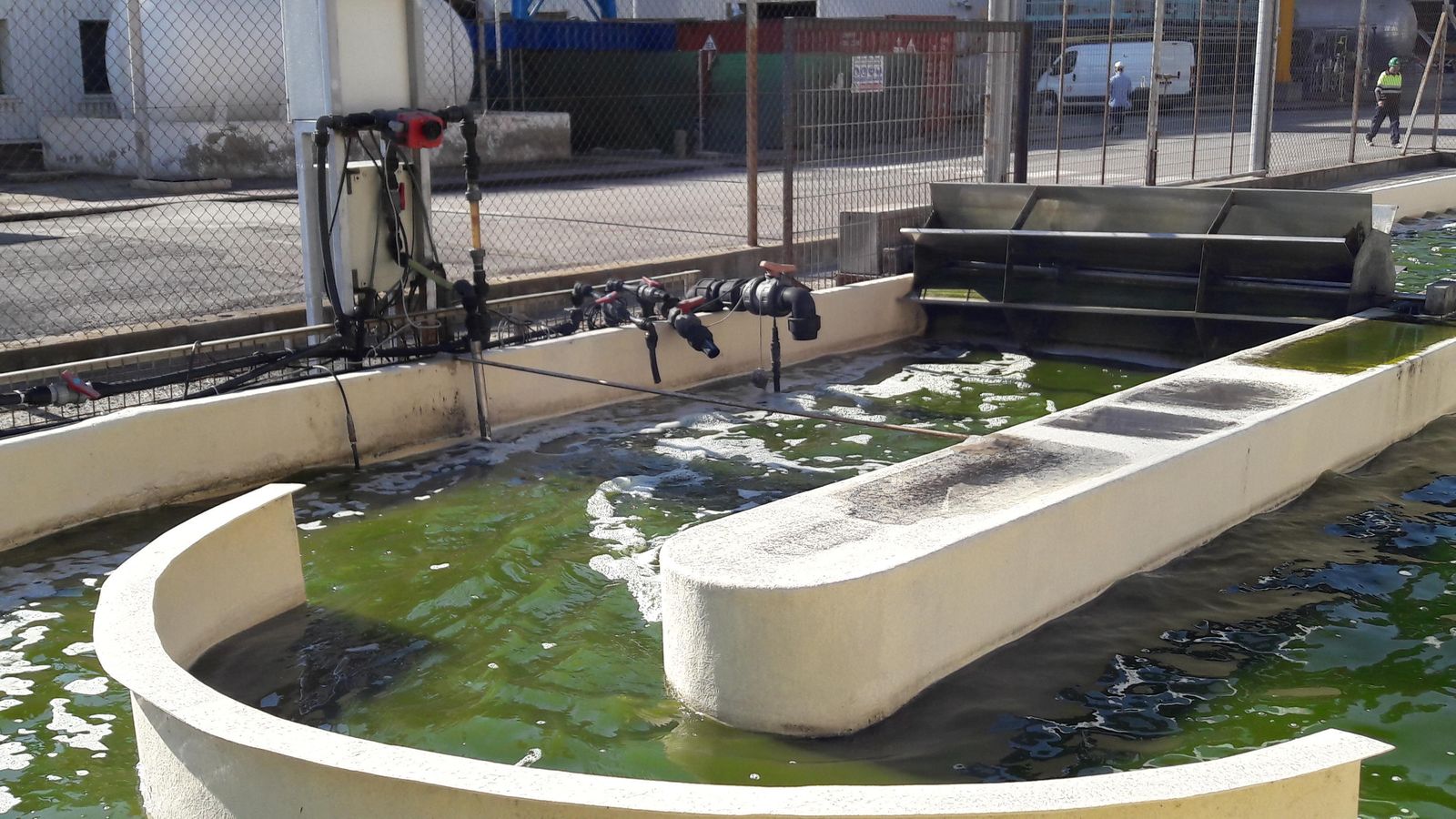 Los resultados del proyecto se validarán en la planta piloto de microalgas.