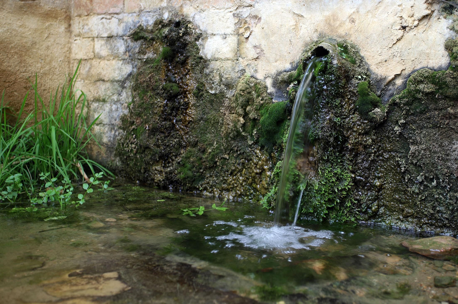 Imágenes de La Fuente Vieja y su entorno