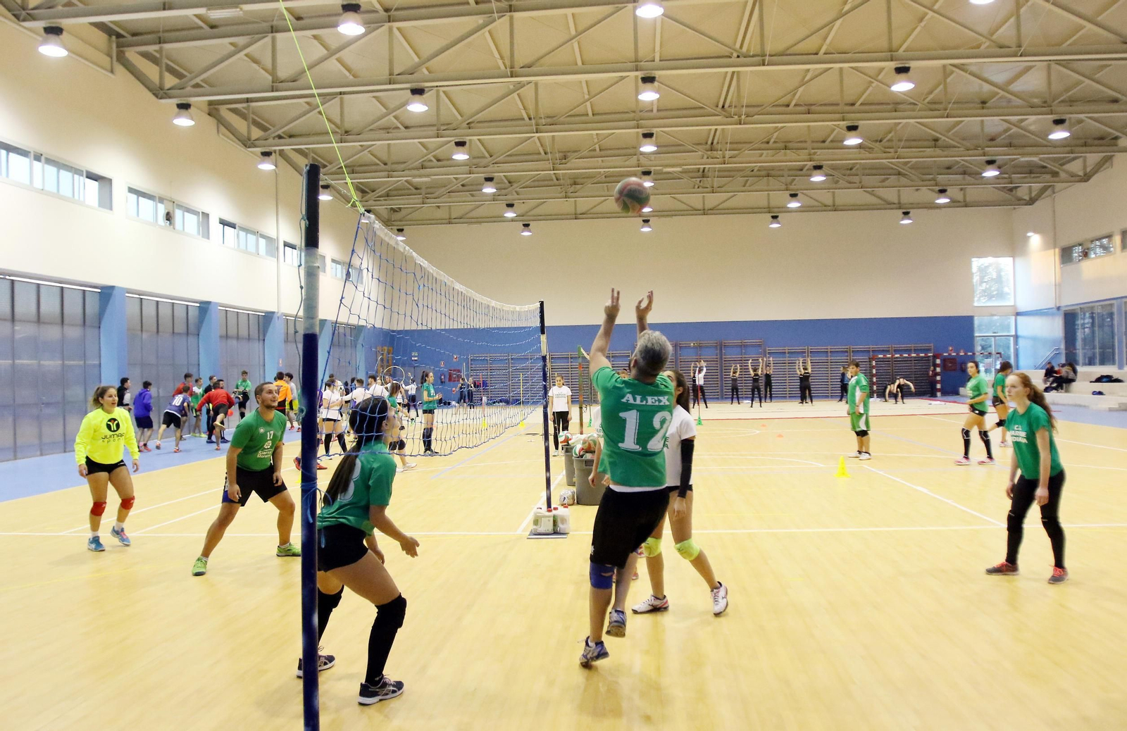 Unos jóvenes juegan al voleibol en el pabellón de Fidiana.