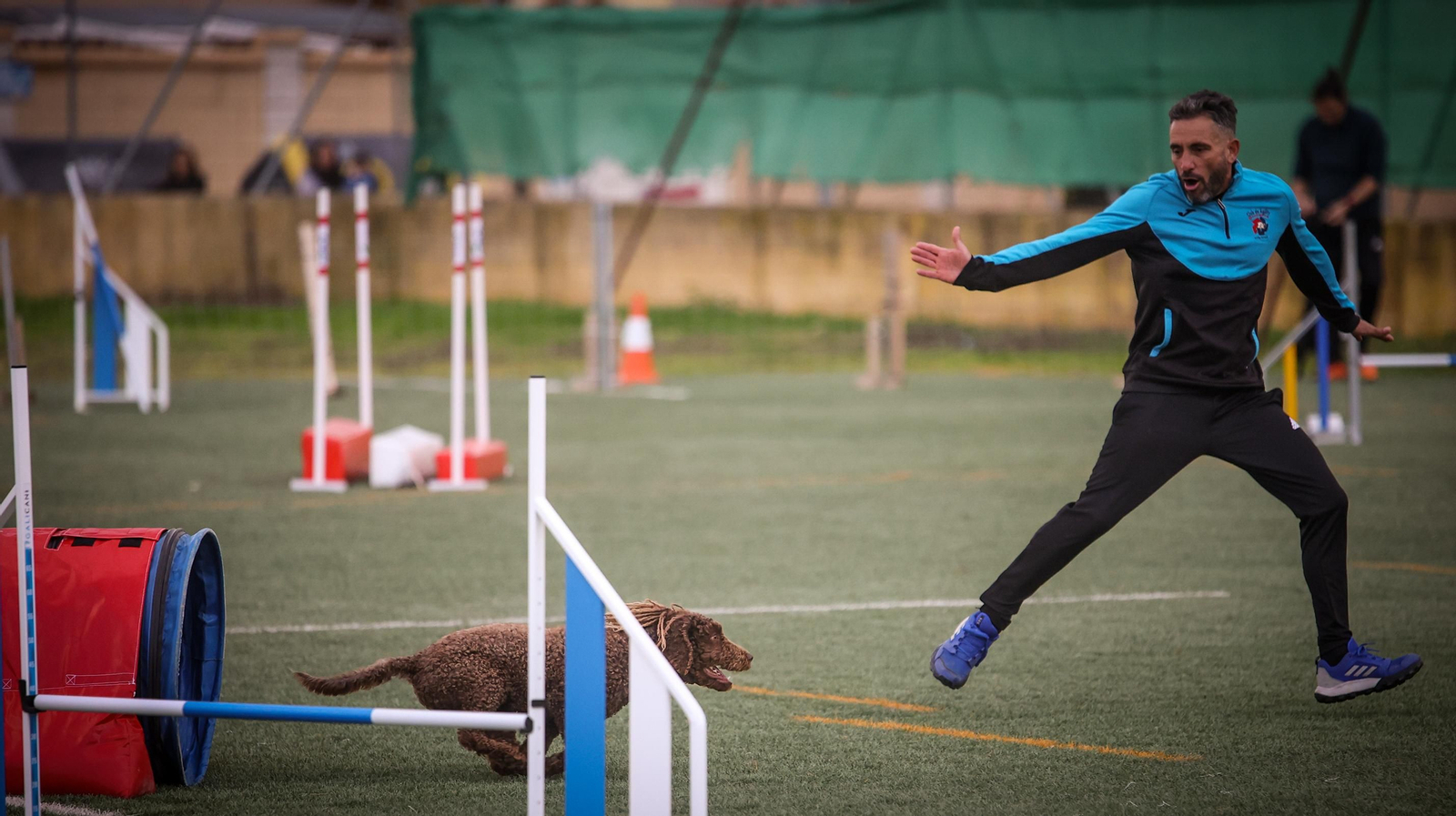 Habilidad canina en la prueba puntuable para el Campeonato de España de 'Agility' celebrado en Jerez Espectaculares las pruebas de disciplina canina puntuables para el Campeonato de España de Agility