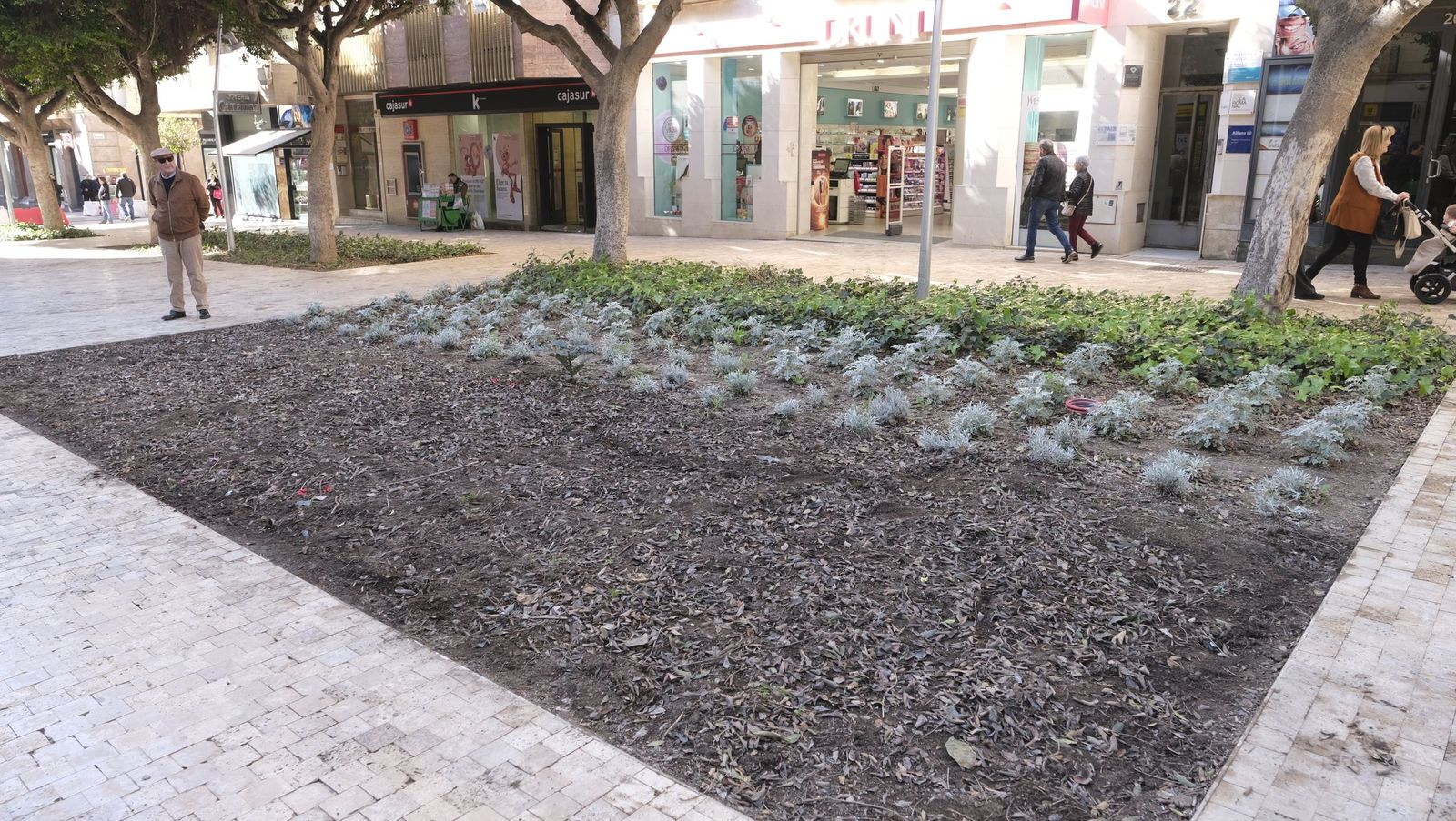 Las imágenes de la modificación de los parterres del Paseo de Almería