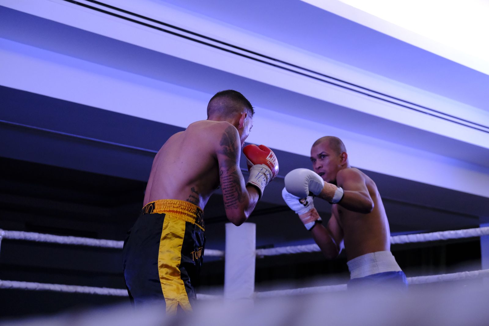 Fotogalería de la velada de boxeo Diamonds Boxing