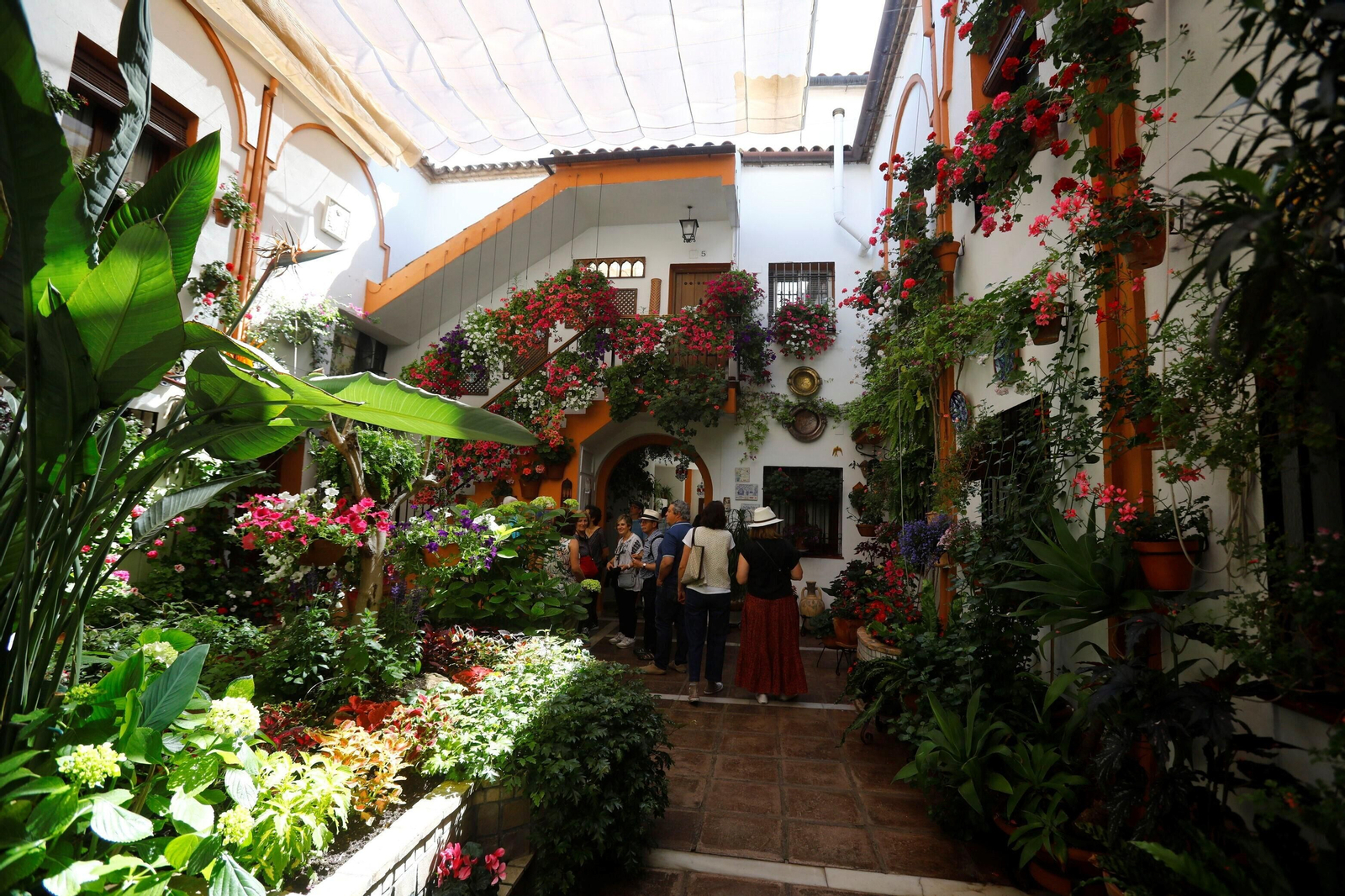 La ruta de Patios Santa Marina-San Agustín, en imágenes