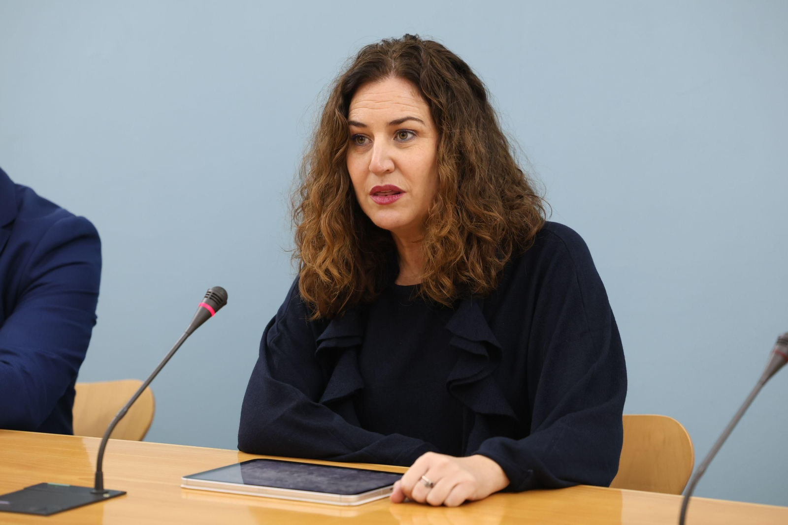 La diputada del Área de Bienestar, Paula Conesa