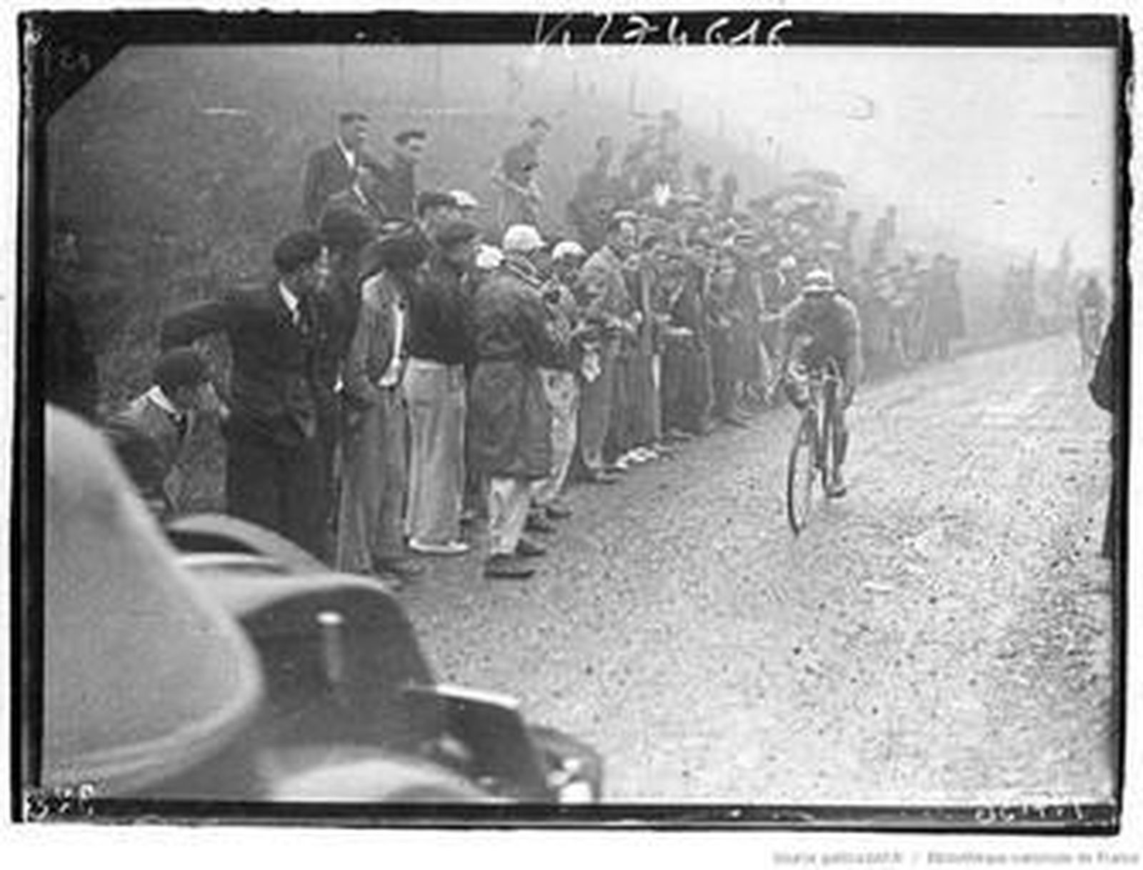 Berrendero en la subida al Peyresourde.
