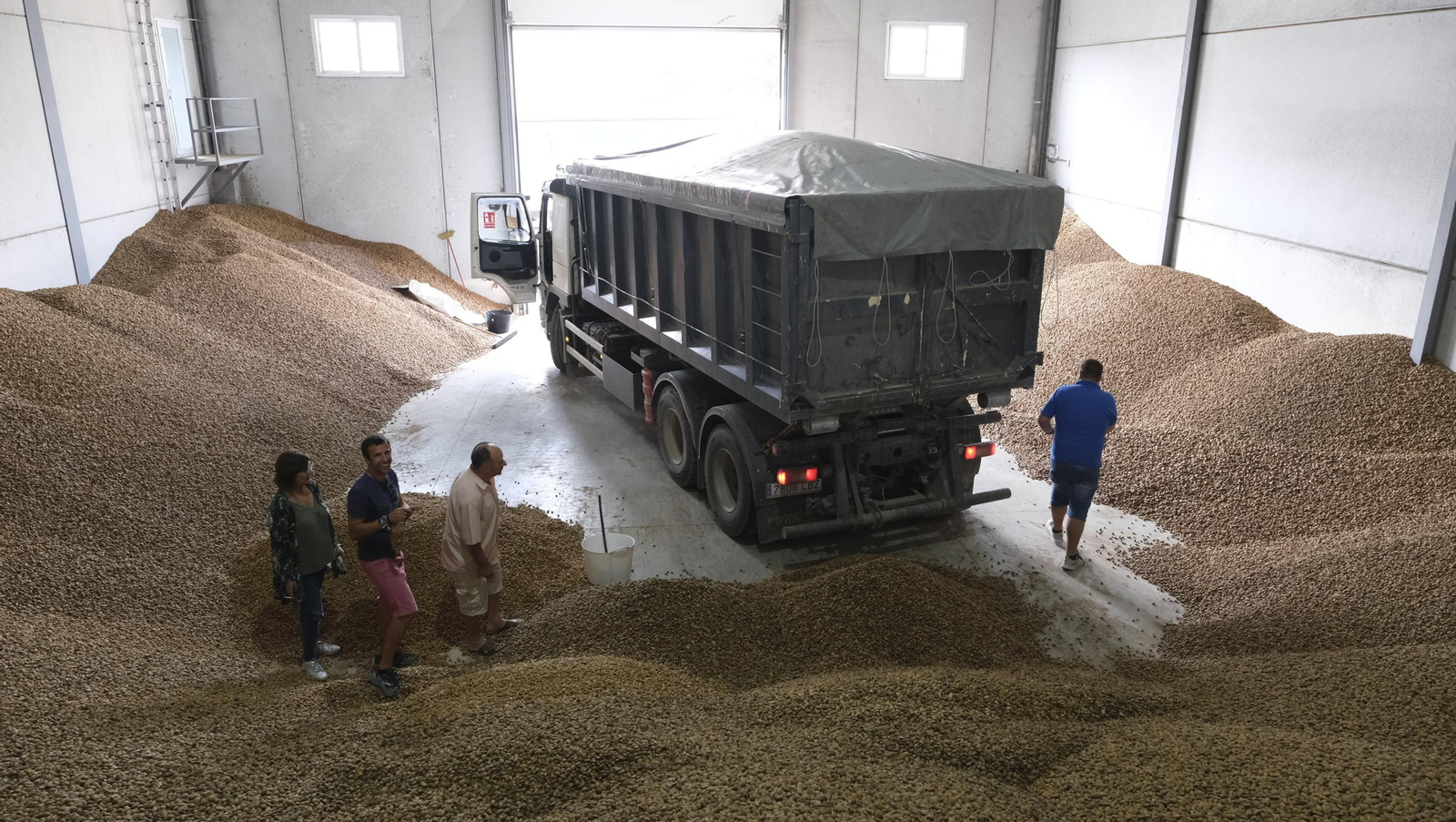Imágenes de la almendra ecológica de Chirivel