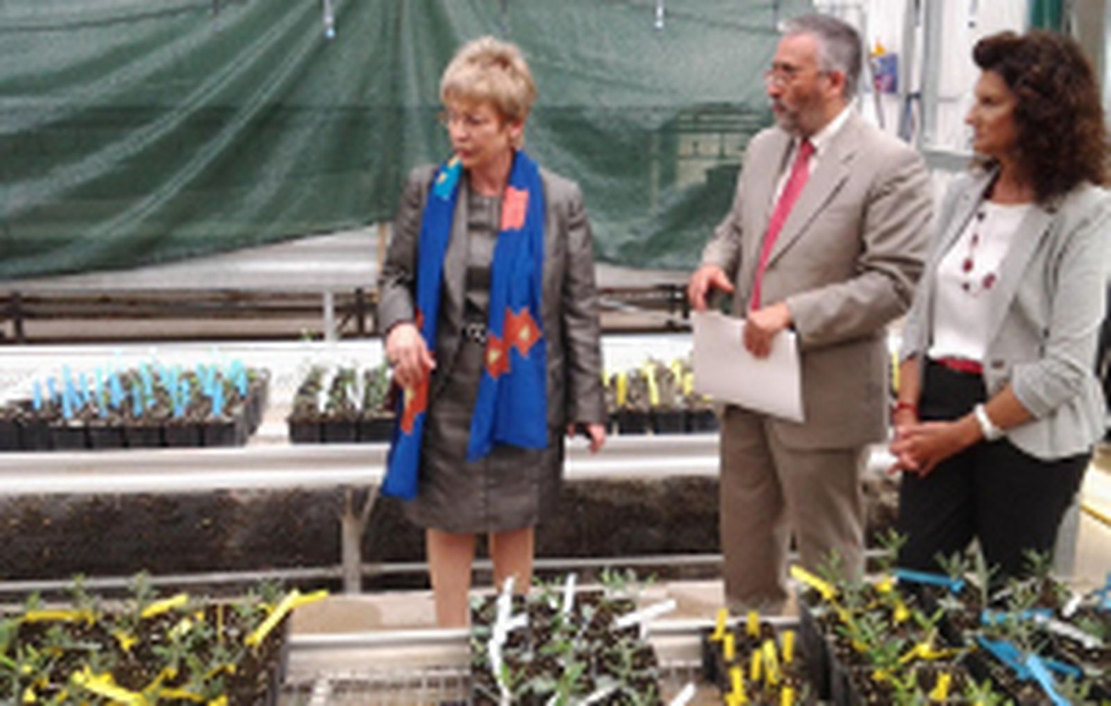 El buen momento del aceite no se traduce en el precio