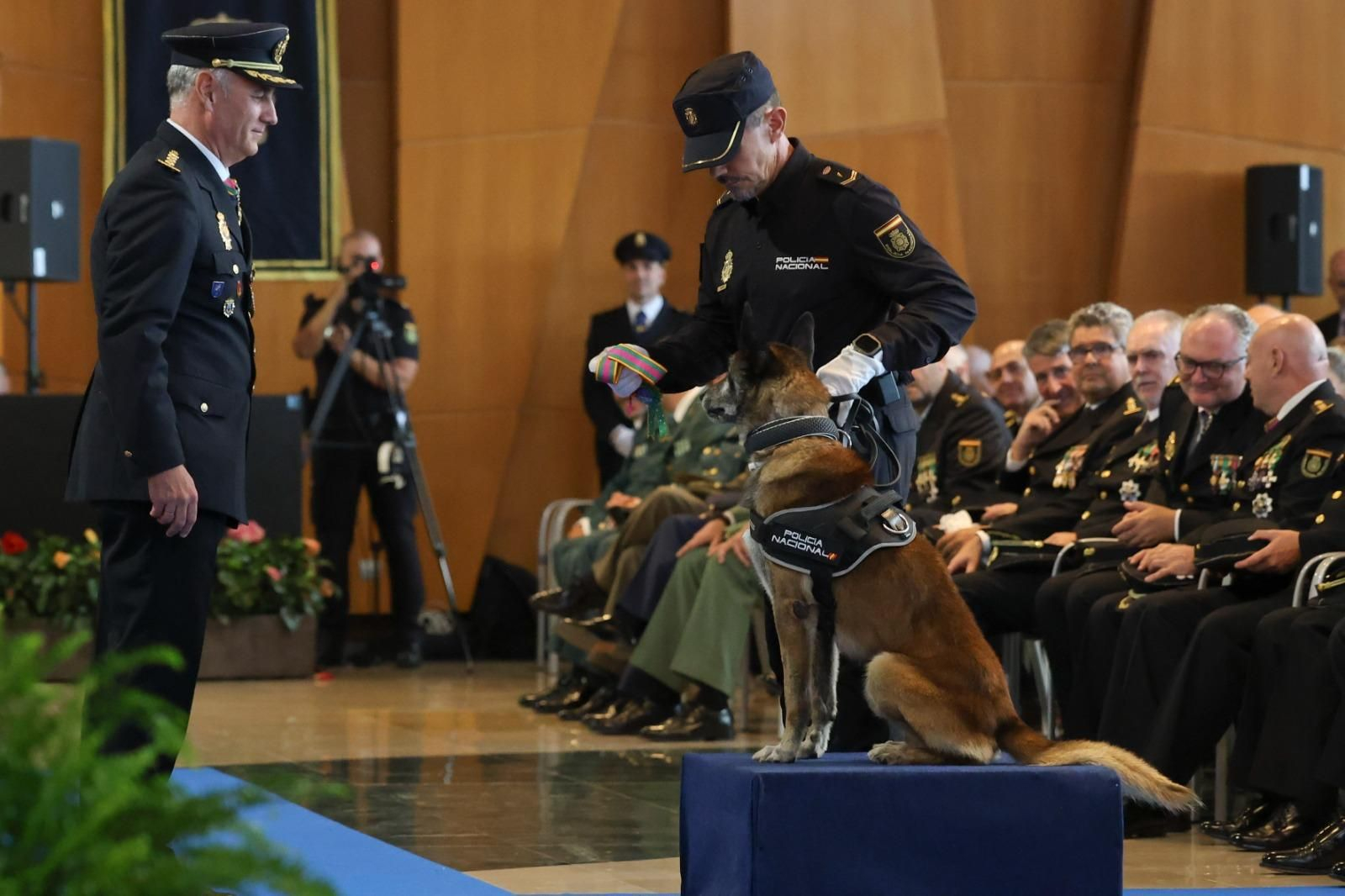Málaga celebra el 201 aniversario de la Policía Nacional con casi 4.000 agentes, en imágenes