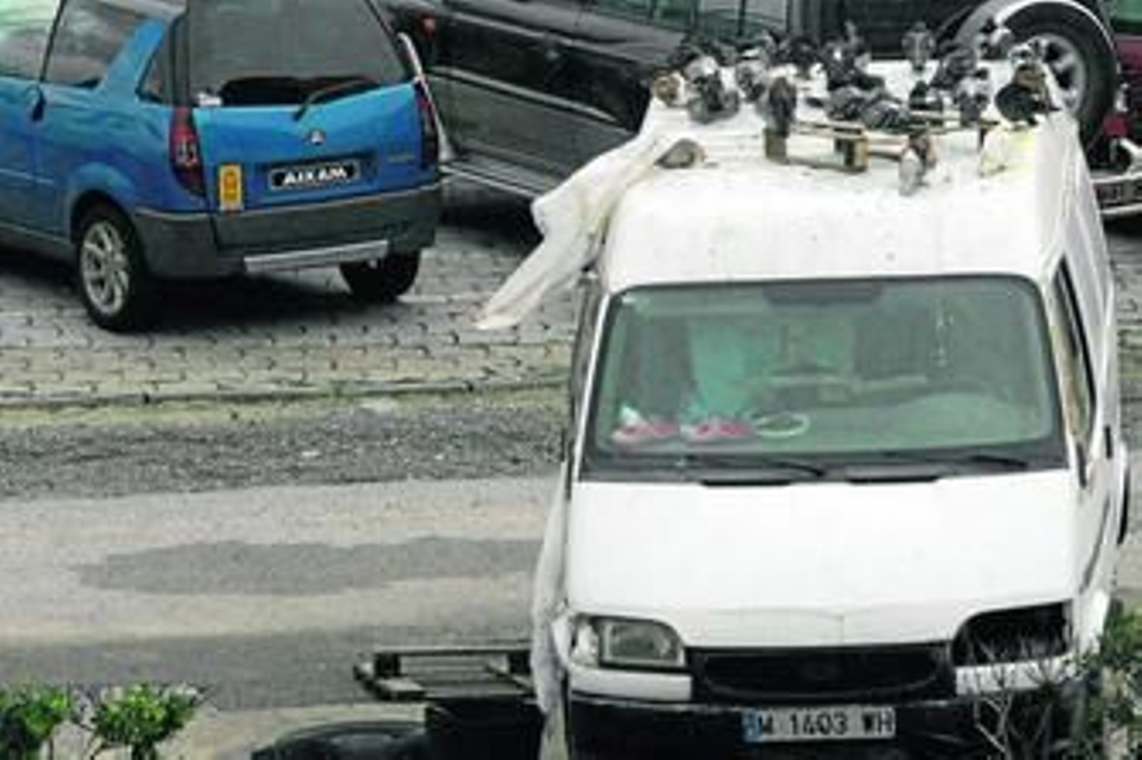 Este coche es un palomar