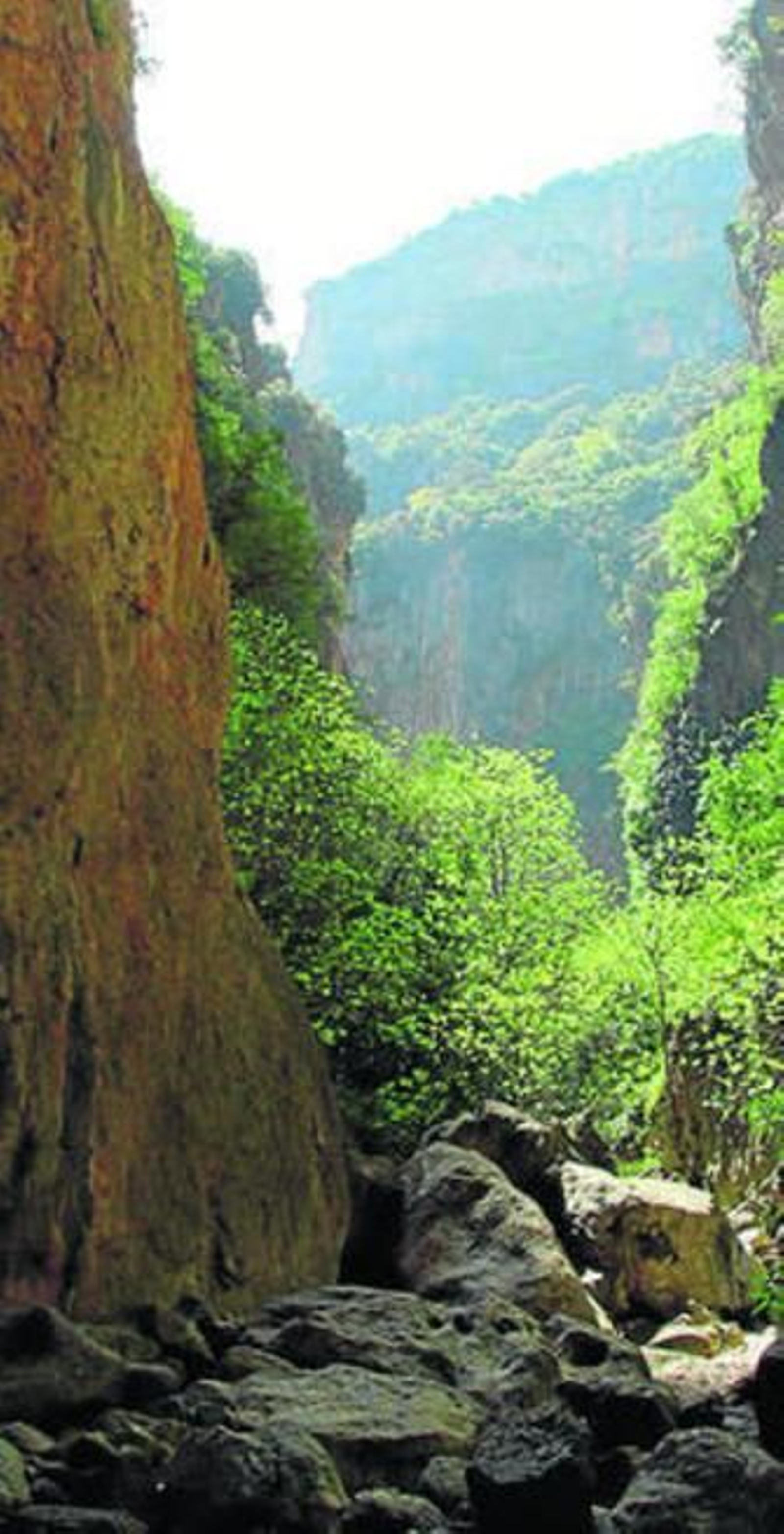 Bajo los buitres de la Sierra de Grazalema