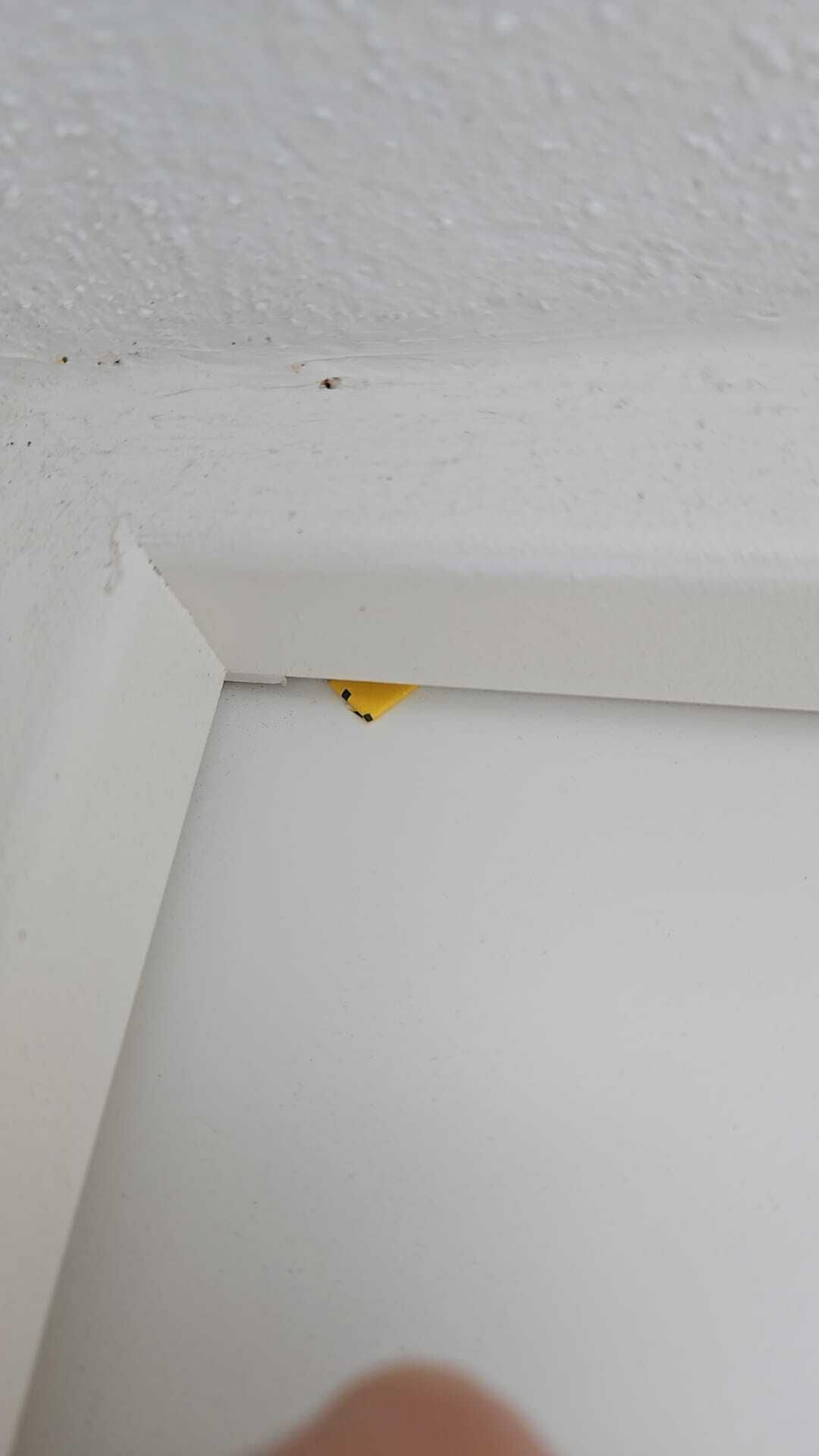 Señuelos que encontraron los vecinos en algunas viviendas de la urbanización.