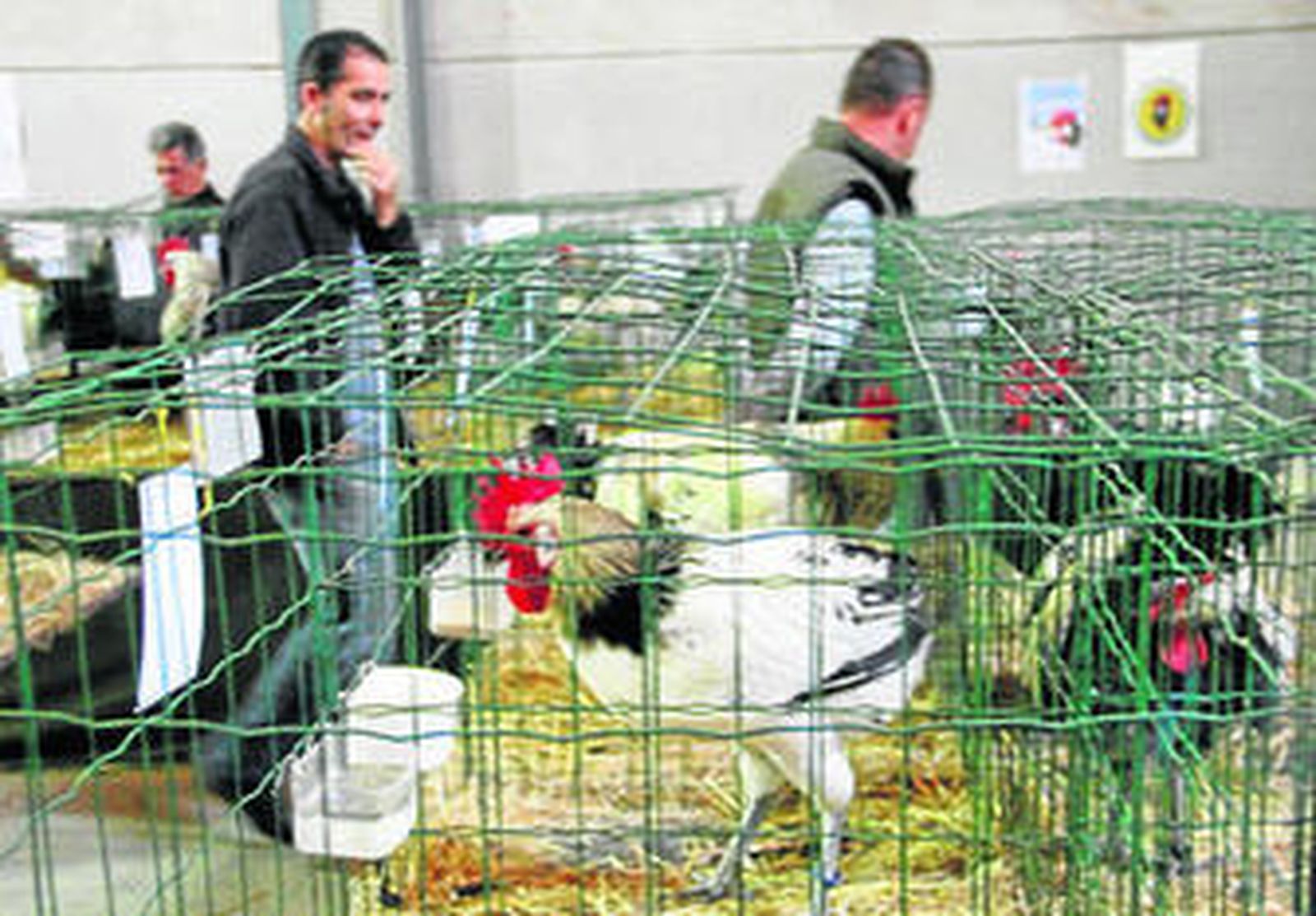 La exposición ha contado con multitud de visitantes desde su apertura.