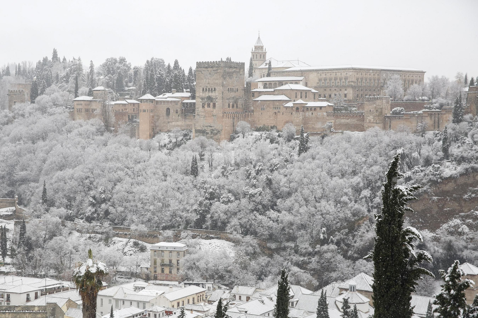 La nevada de Granada, en imágenes