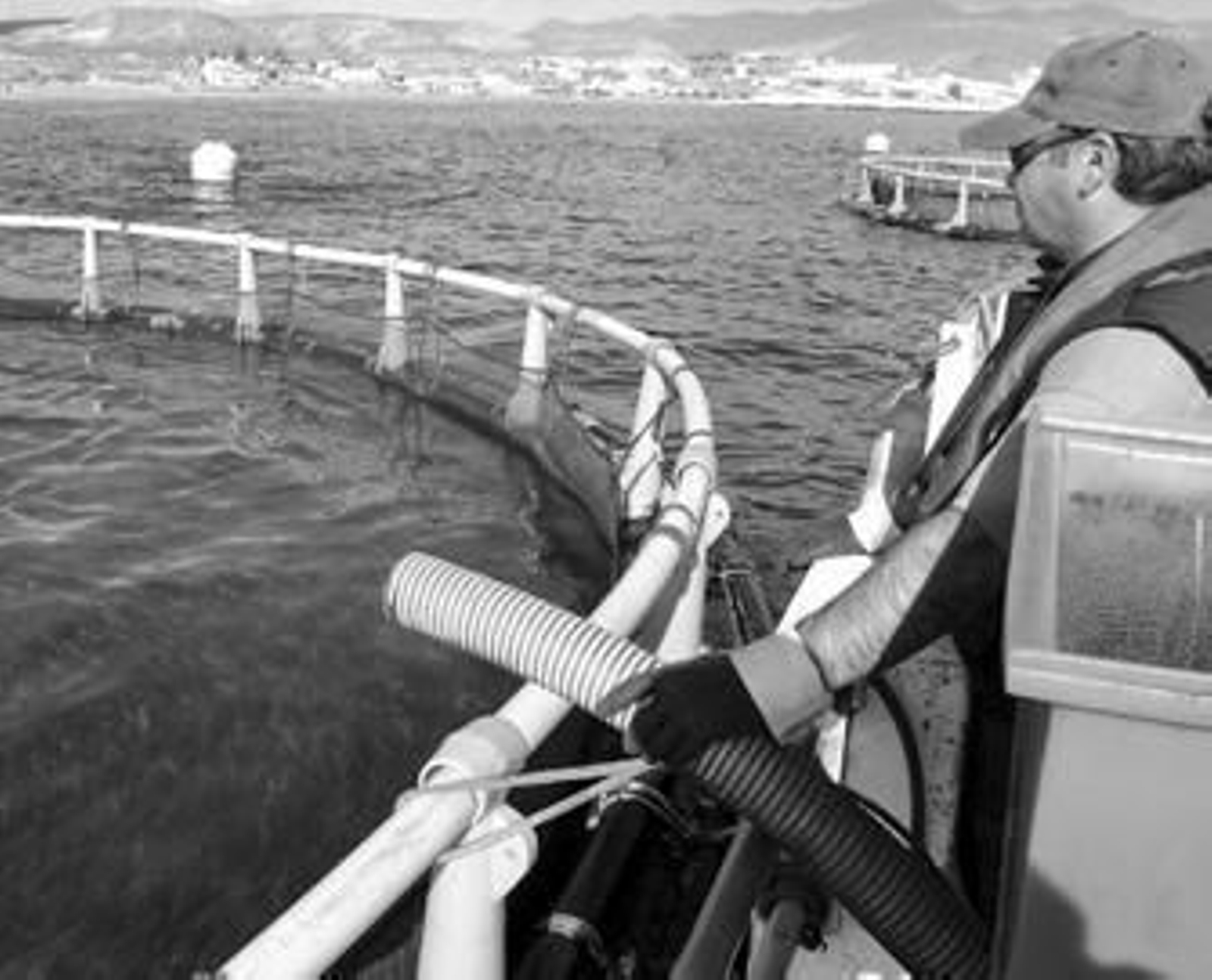 Piscifactoría de Carboneras donde se cultiva lubina.