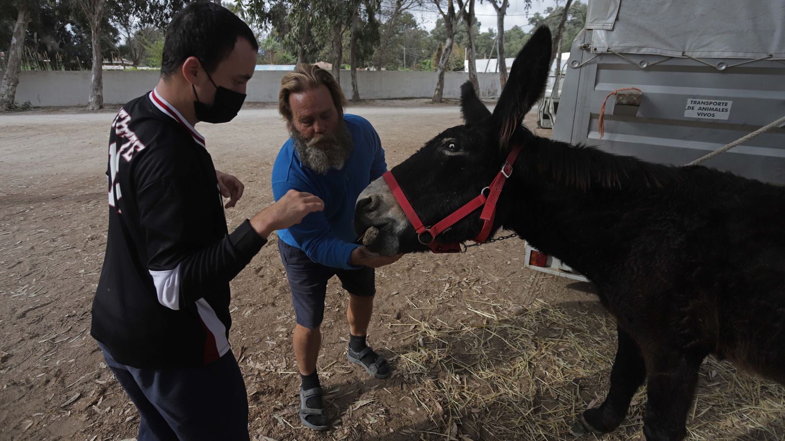 Sesión  de burroterapia con usuarios de Asansull en Palmones