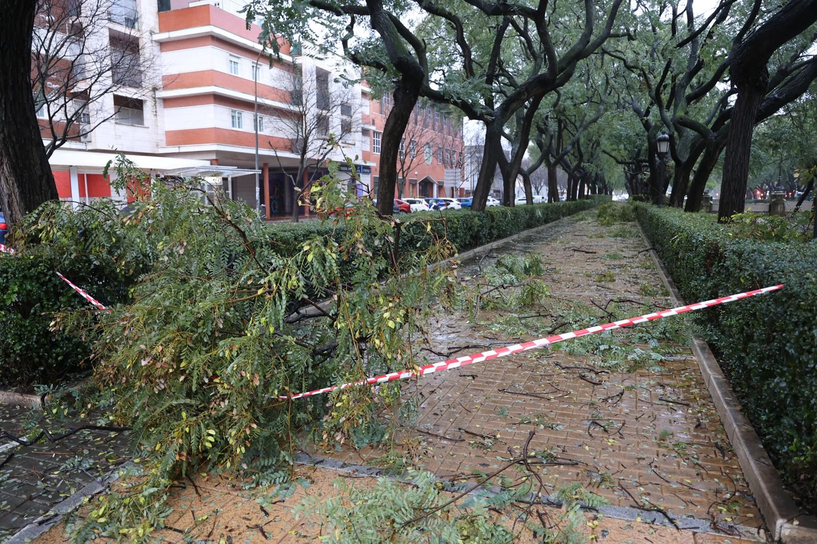 Fotografías de los destrozos de la borrasca Kristin en Huelva este miércoles