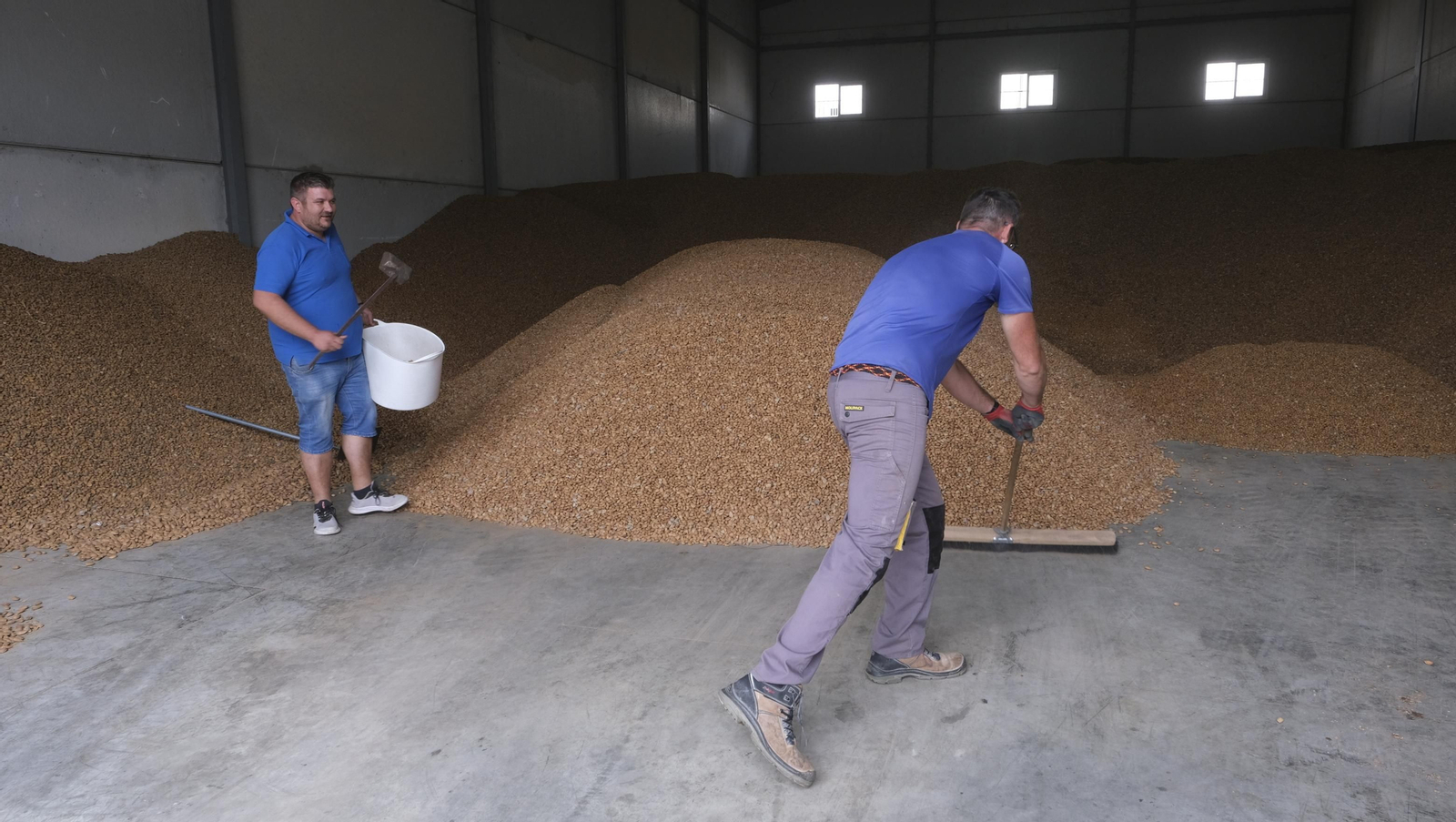 Imágenes de la almendra ecológica de Chirivel