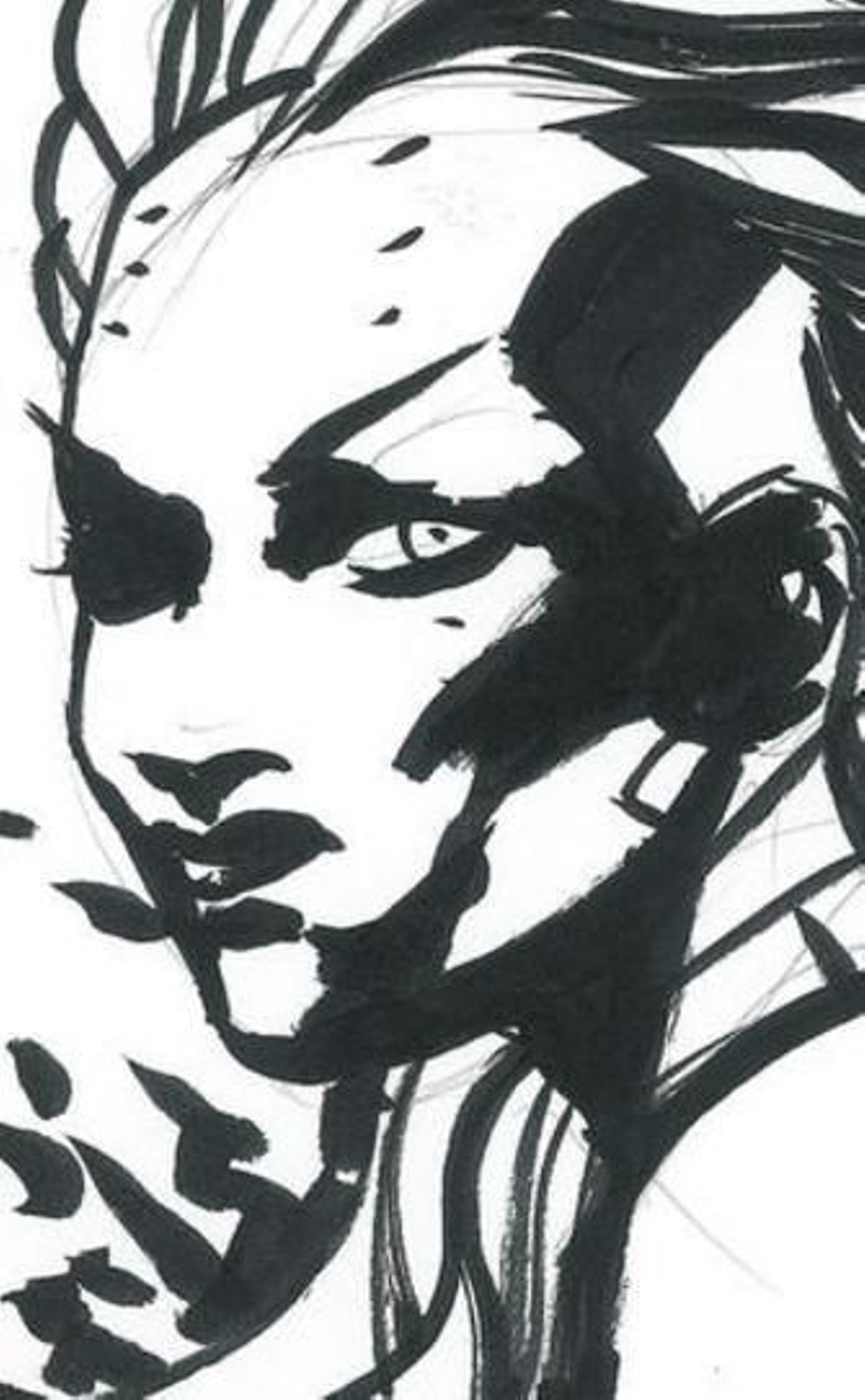 El empecinamiento de la imaginación