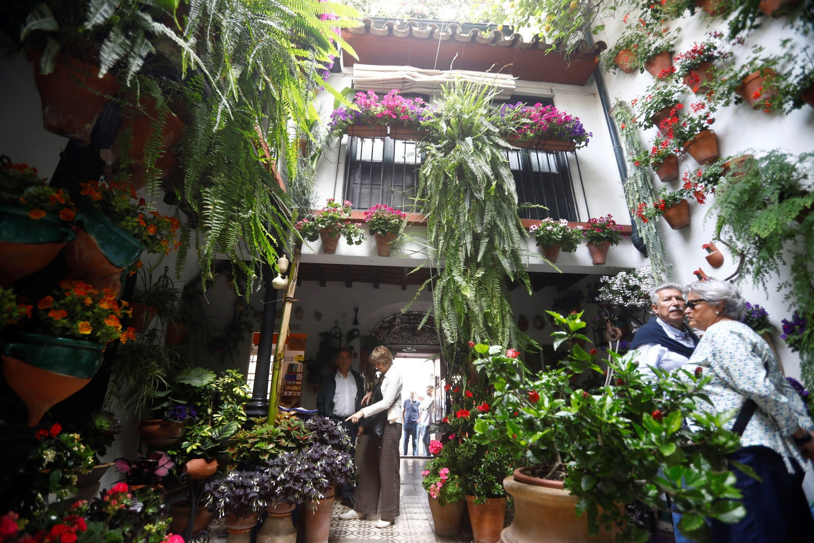 Los patios de Córdoba de la ruta Judería-San Francisco, en imágenes