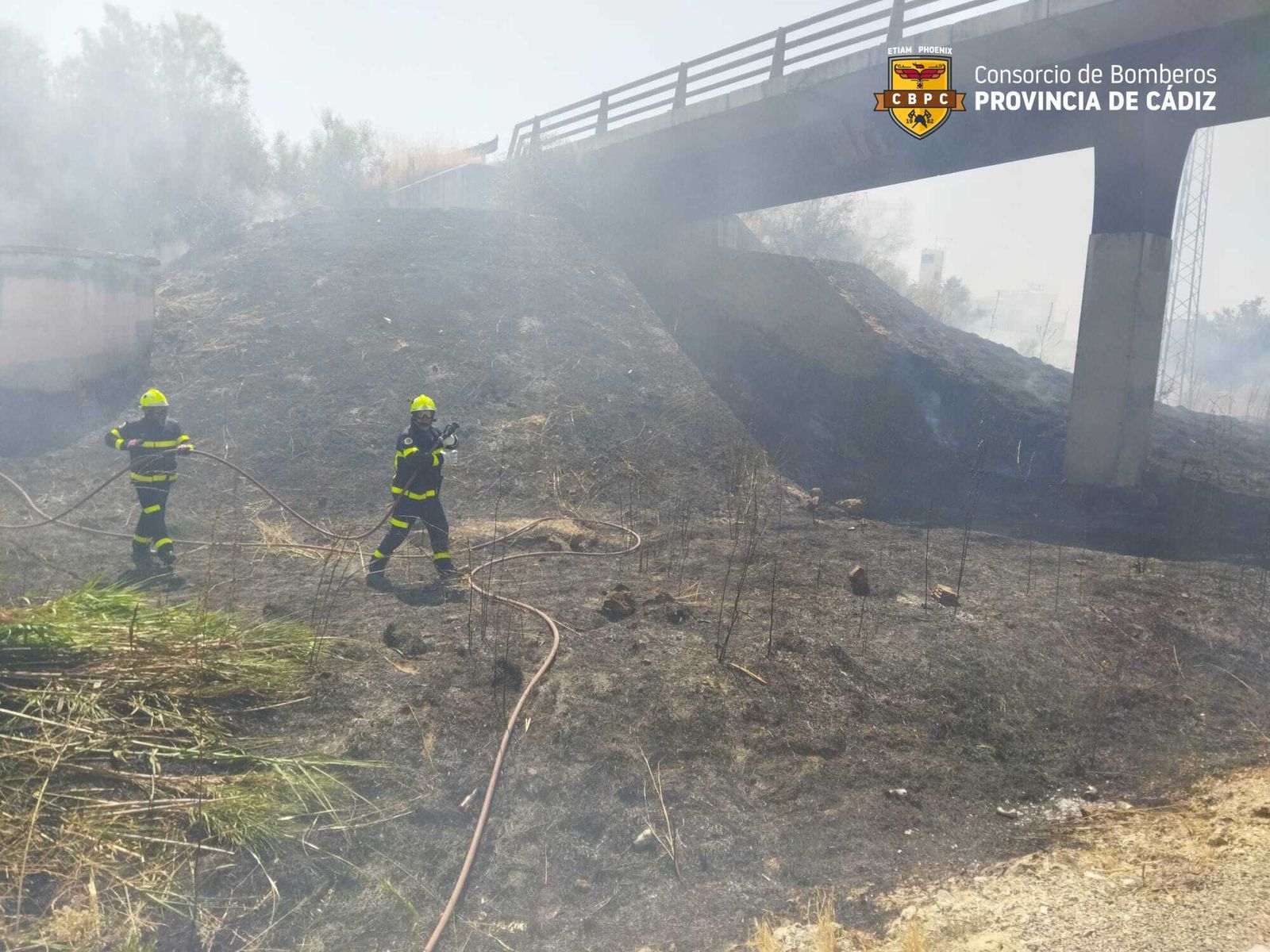 Bomberos de Jerez en el incendio de pasto de la recta de la Ciudad del Transporte.