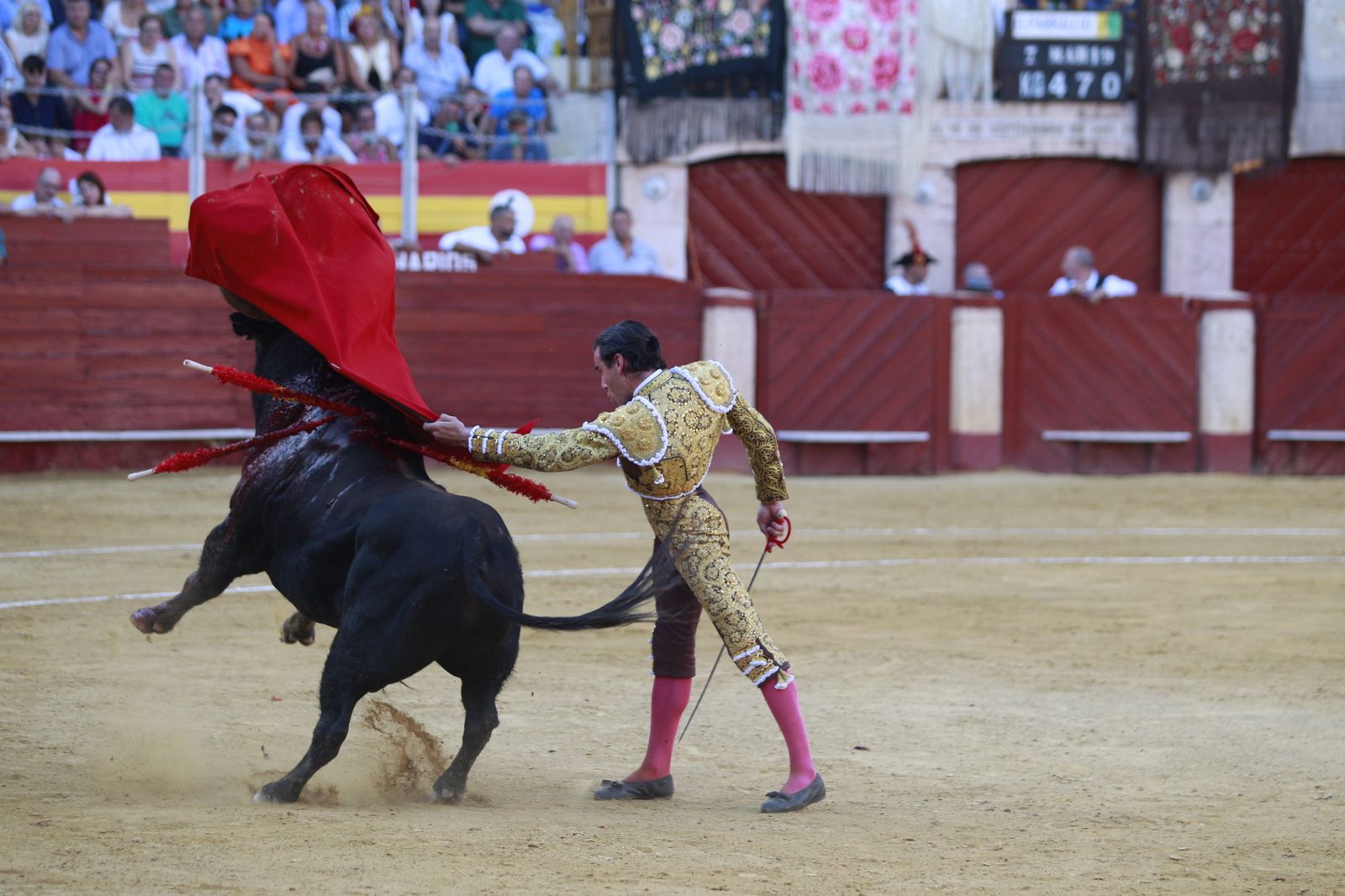 Imágenes del triunfo del torero almeriense Jorge Martínez el día de su alternativa