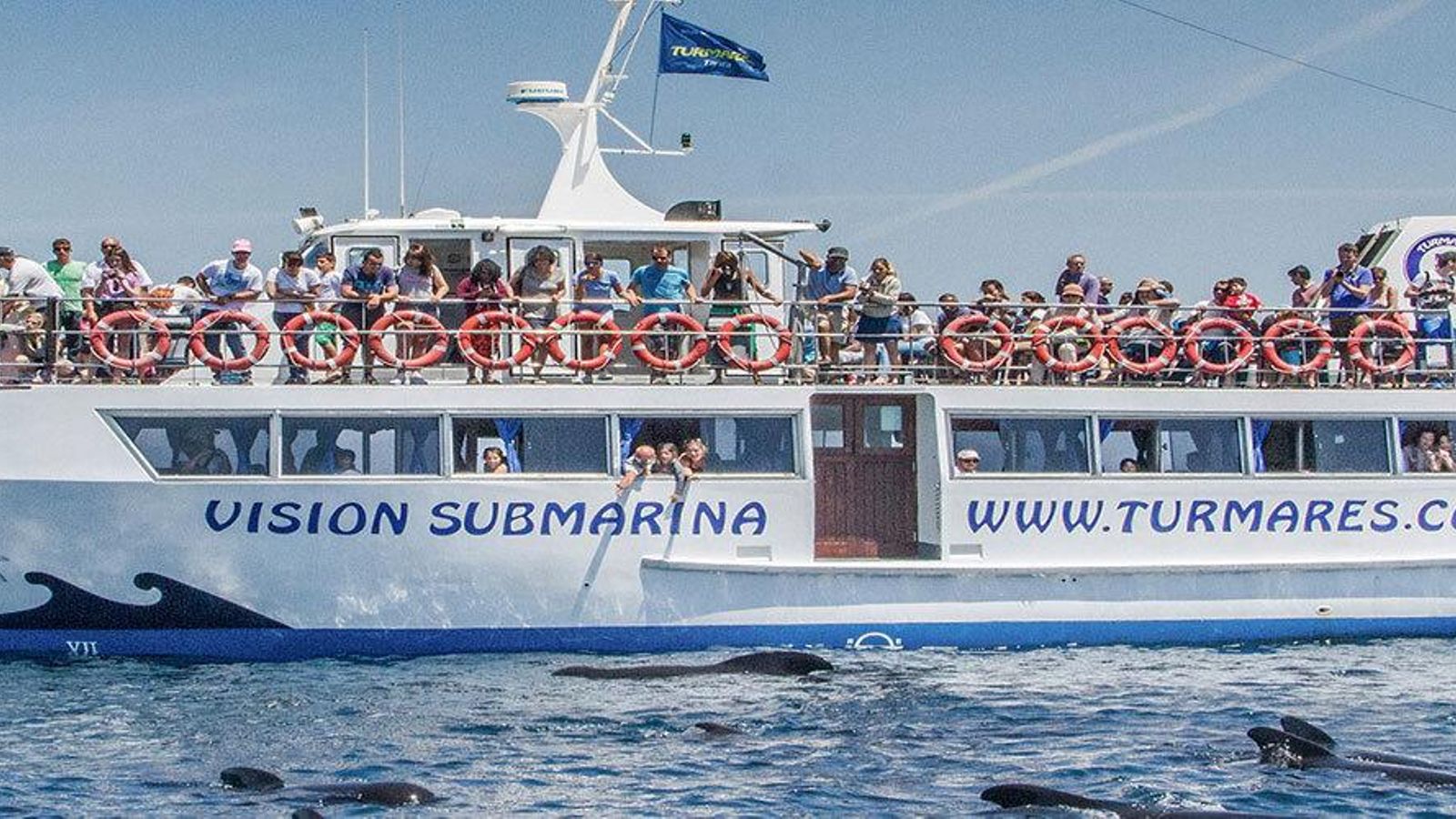 Avistamiento de cetáceos en el Estrecho