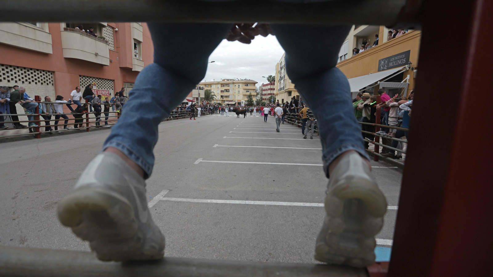Imágenes del Toro Embolao de Los Barrios