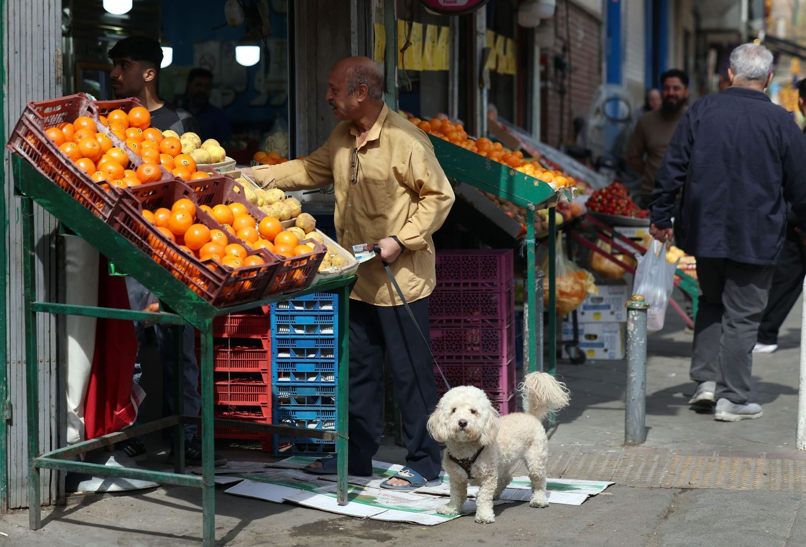 La vida sigue entre los habitantes de Teherán: compras, trabajos, pasear al perro...