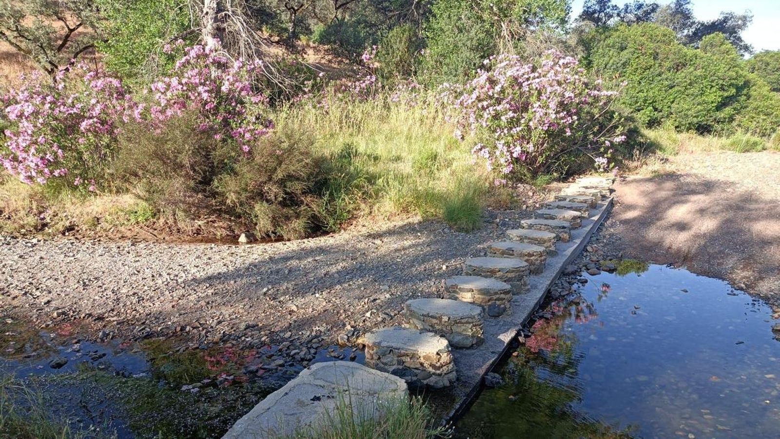Cruzando el río Odiel.