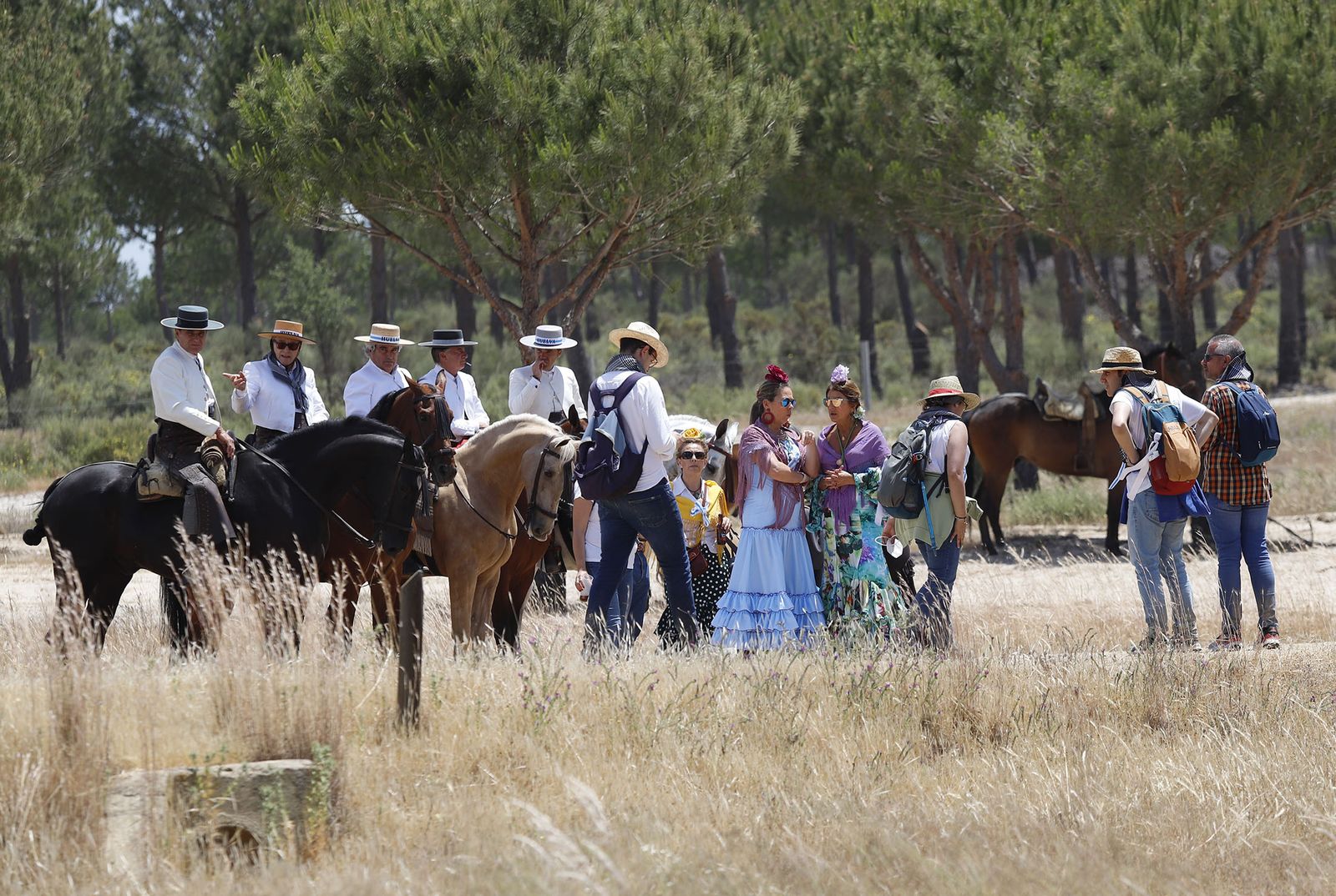 Todos los peregrinos de la Hermandad de Huelva, en imágenes