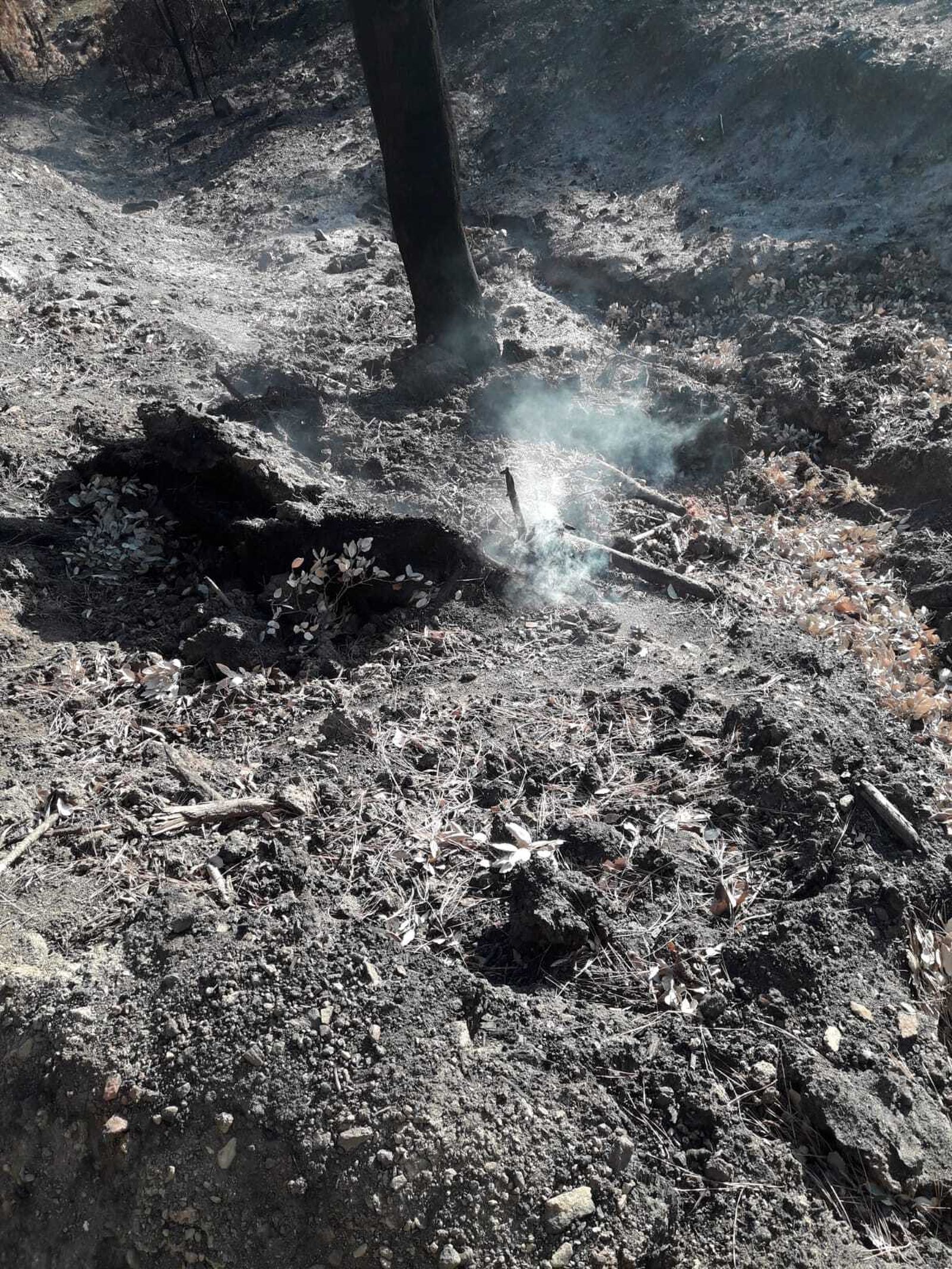 Imagen del incendio de Sierra Bermeja un mes después de darse por controlado