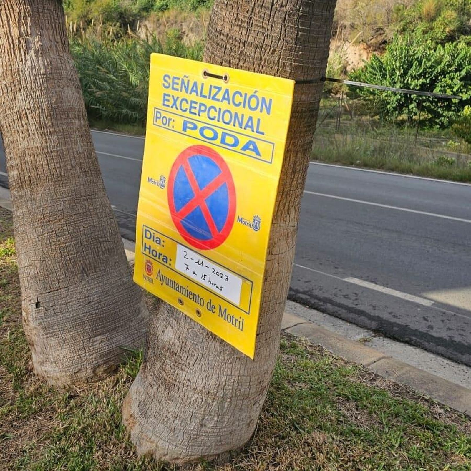 Cancelan las labores de poda en Motril por aviso naranja por fuertes rachas de viento