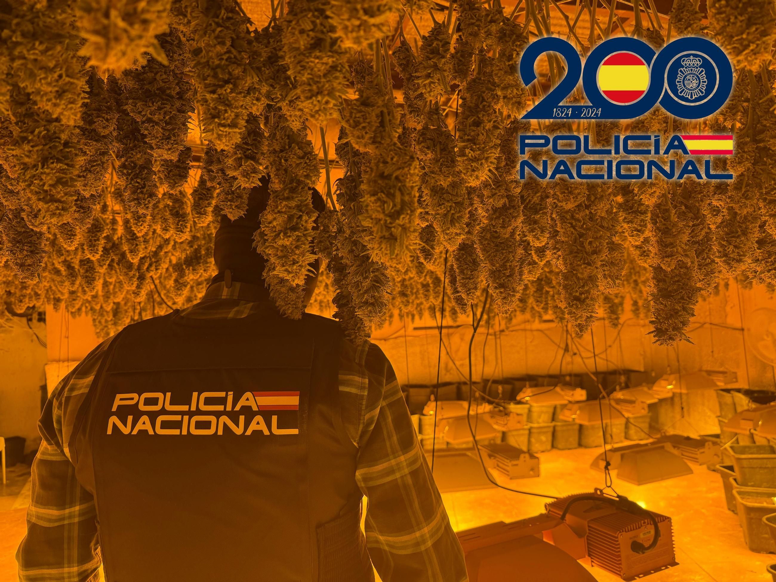 Una de las plantaciones descubiertas en El Ejido.