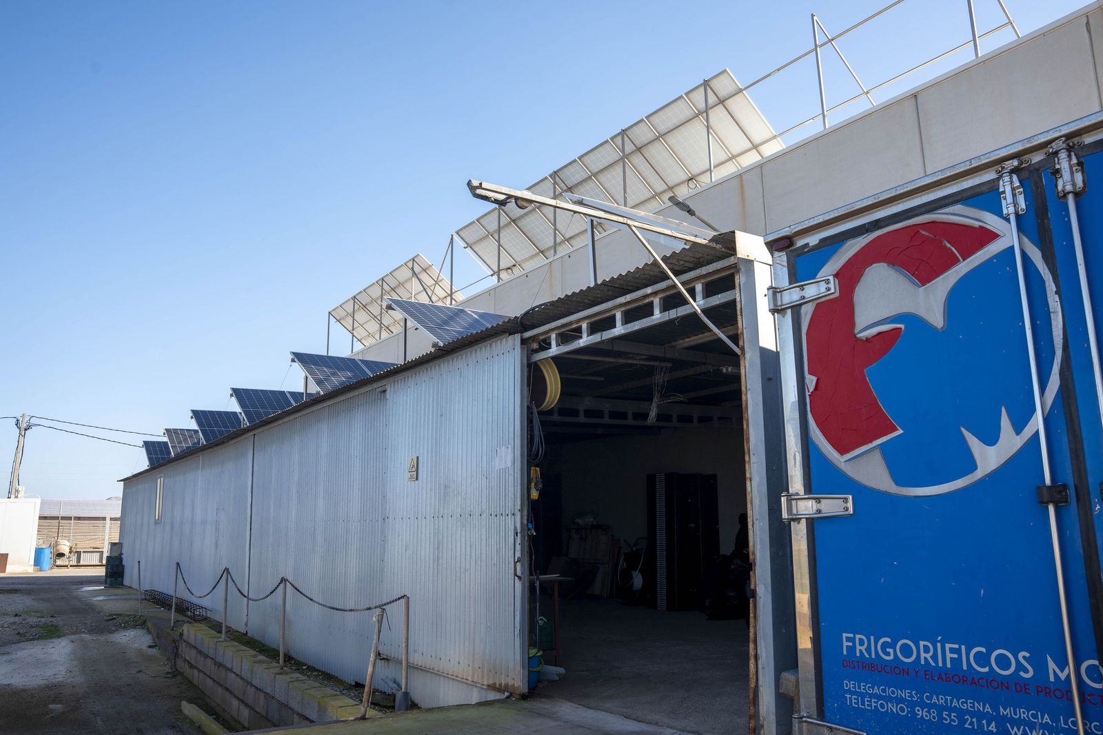 La primavera se planta en invierno entre sandías y tomates almerienses