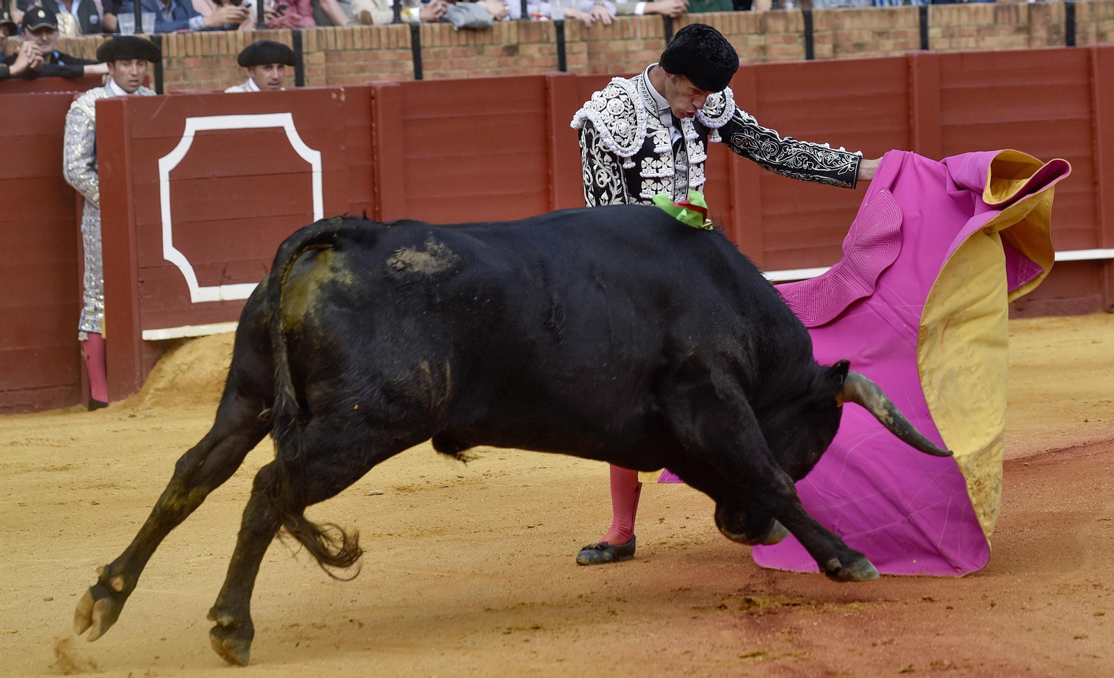 Las imágenes de la 14ª de abono de la Maestranza