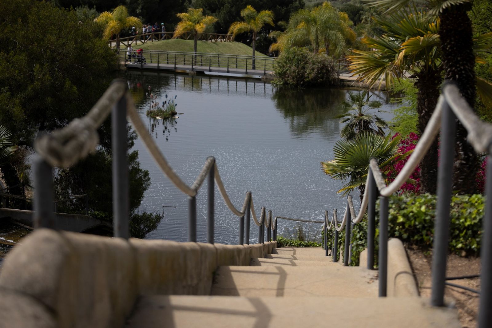 La bellas imágenes del Parque Botánico Celestino Mutis en la provincia de Huelva