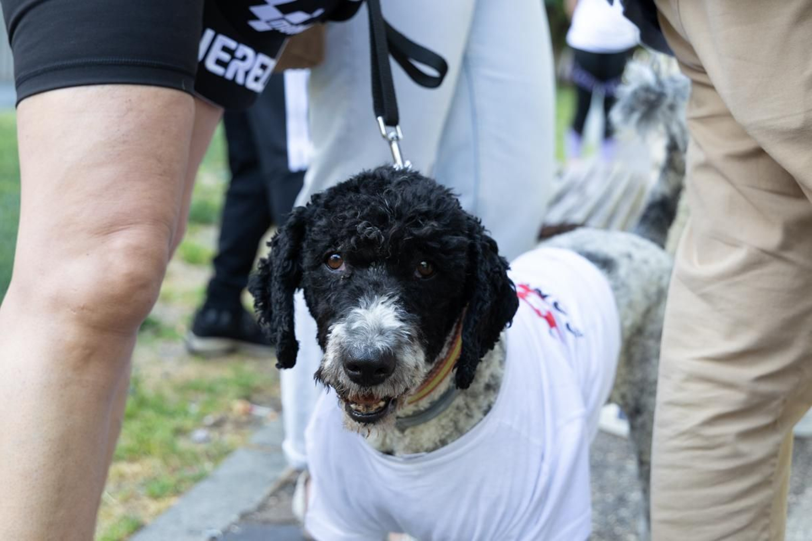 Reivindicativa III Caminata por la Esclerosis Múltiple en Jaén