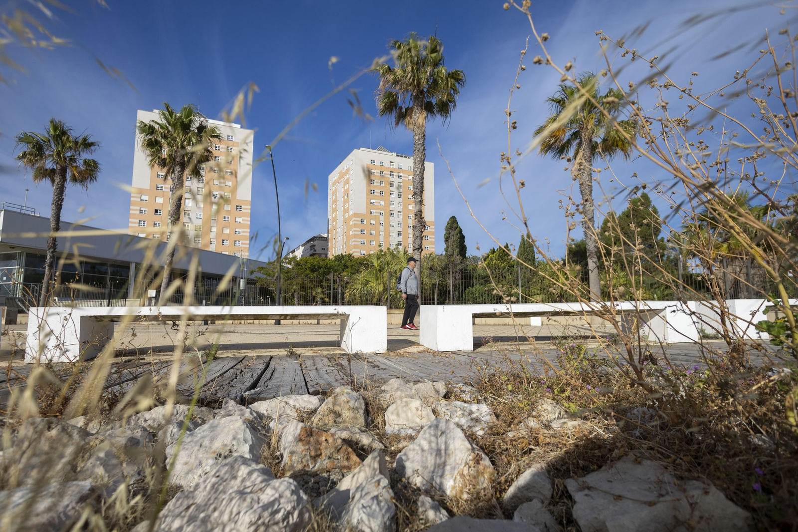 Las imágenes del mal estado de los paseos de Cádiz